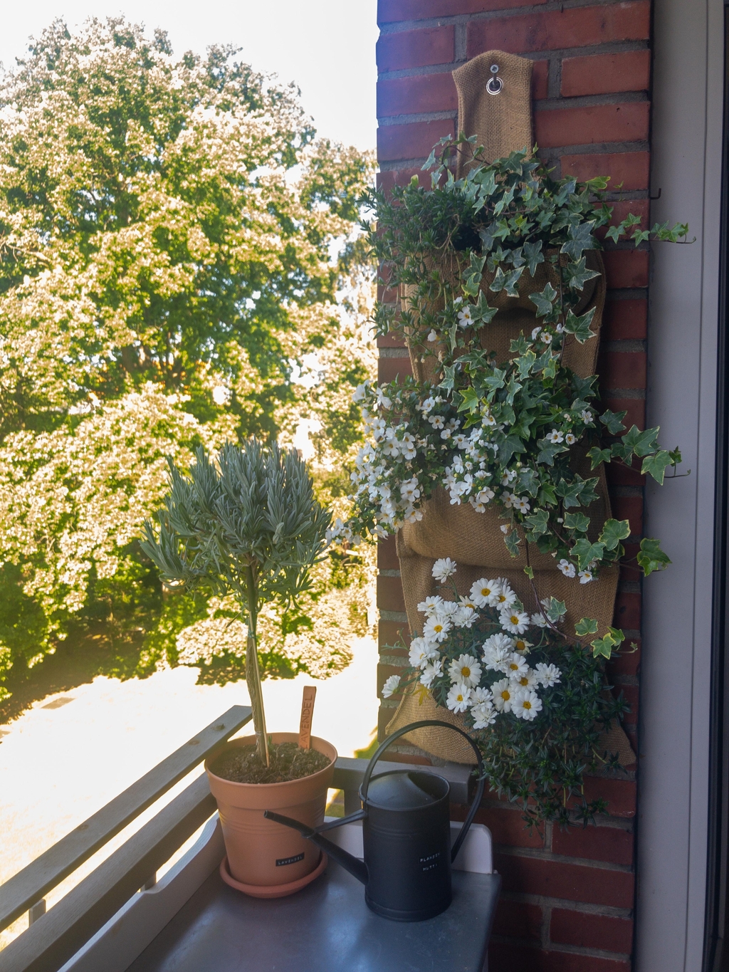 Dein DIY Hängender Garten Für die Juli Ausgabe der