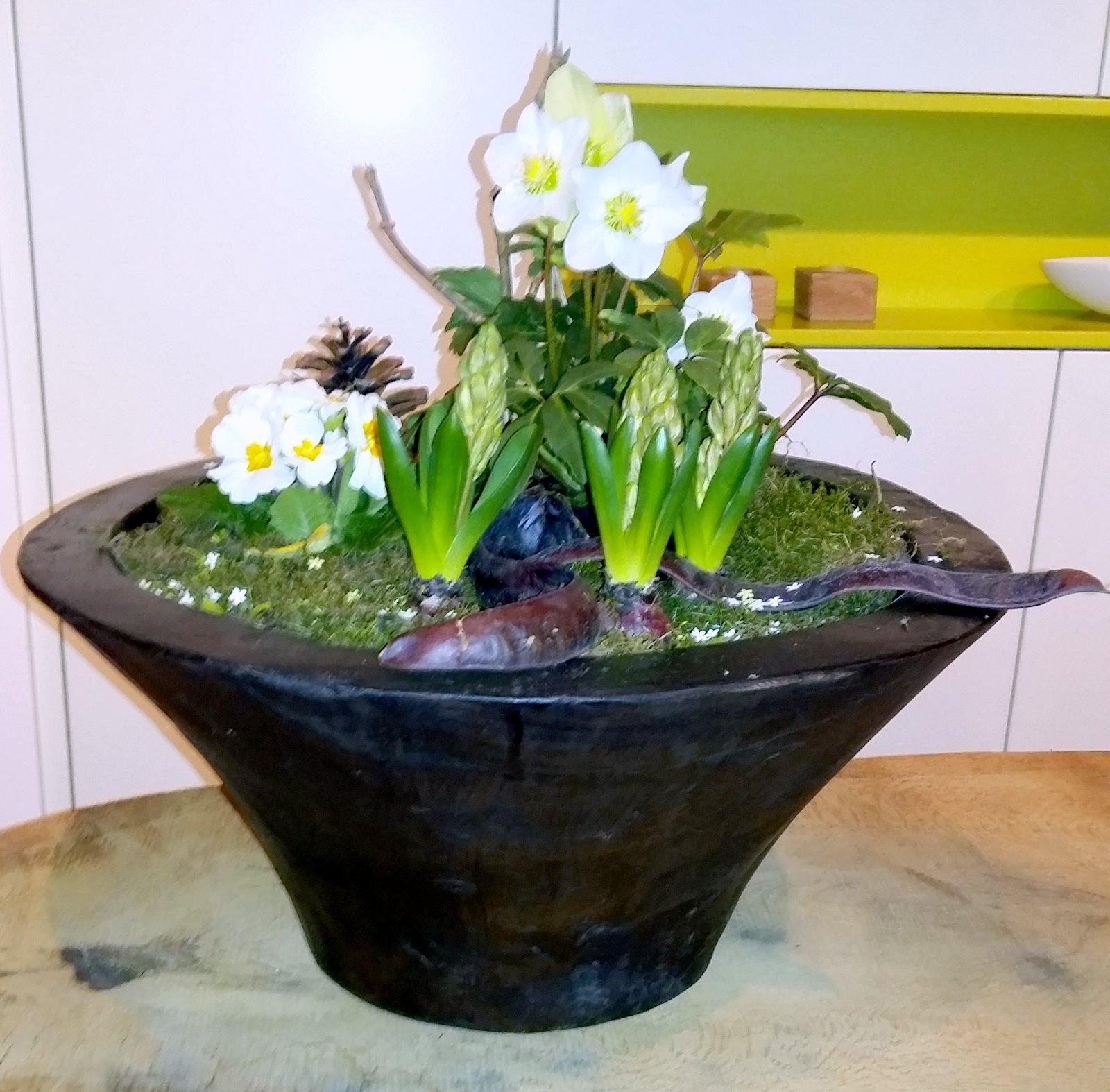 dekorative #Holzschale 
zum bepflanzen mit #Blumen od. #Obstschale #Dekoschale