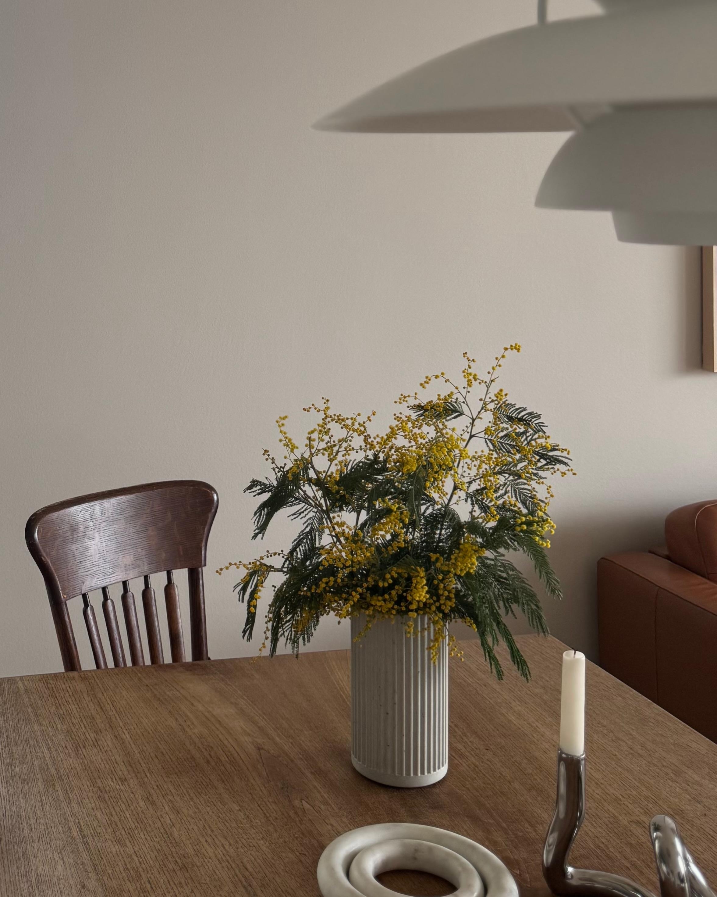 Delicate mimosa meets rough concrete 🩶💛
#vase #blumen #mimosen #esstiscg #teak #beton #marmor #chrom #stuhl 