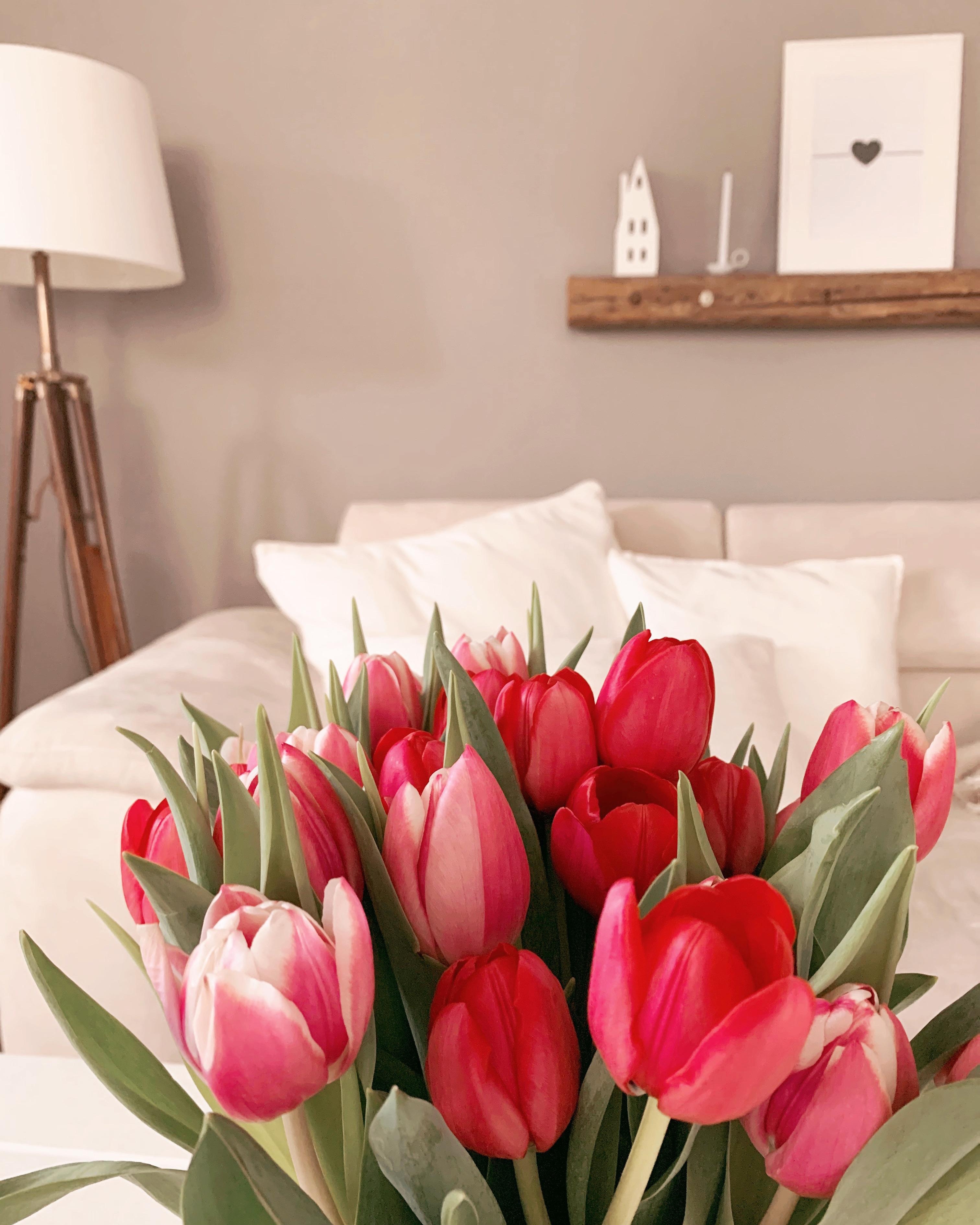 Dem trüben Wetter trete ich mit #flowerpower entgegen 😍 #tulpen#couchstyle#wohnzimmer#blumenliebe#skandi#deko
