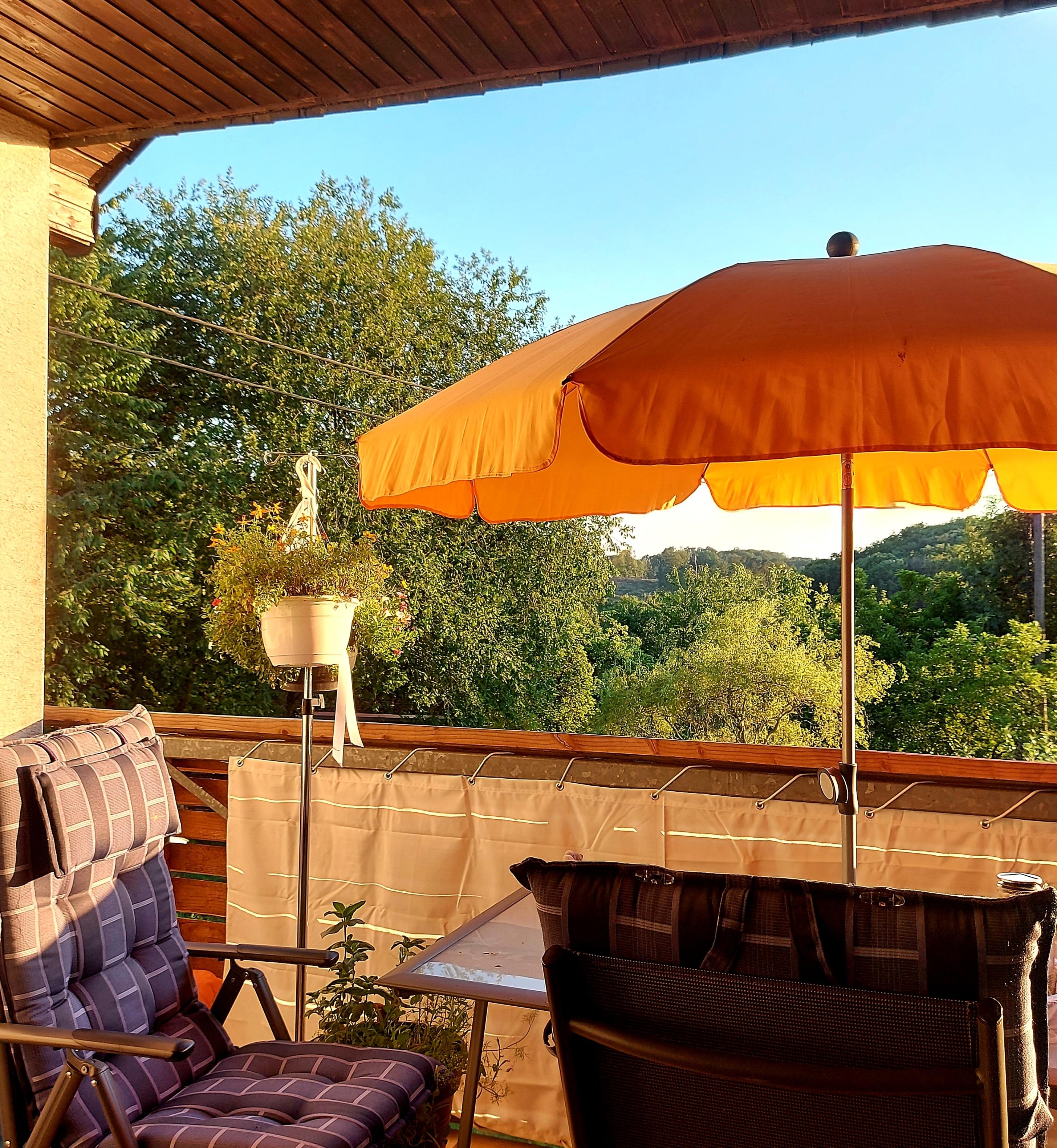 Den Urlaub auf Balkonien genießen, anstatt in die Ferne zu fliegen. 

#grünerleben #balkon #sommer #summerfeeling 