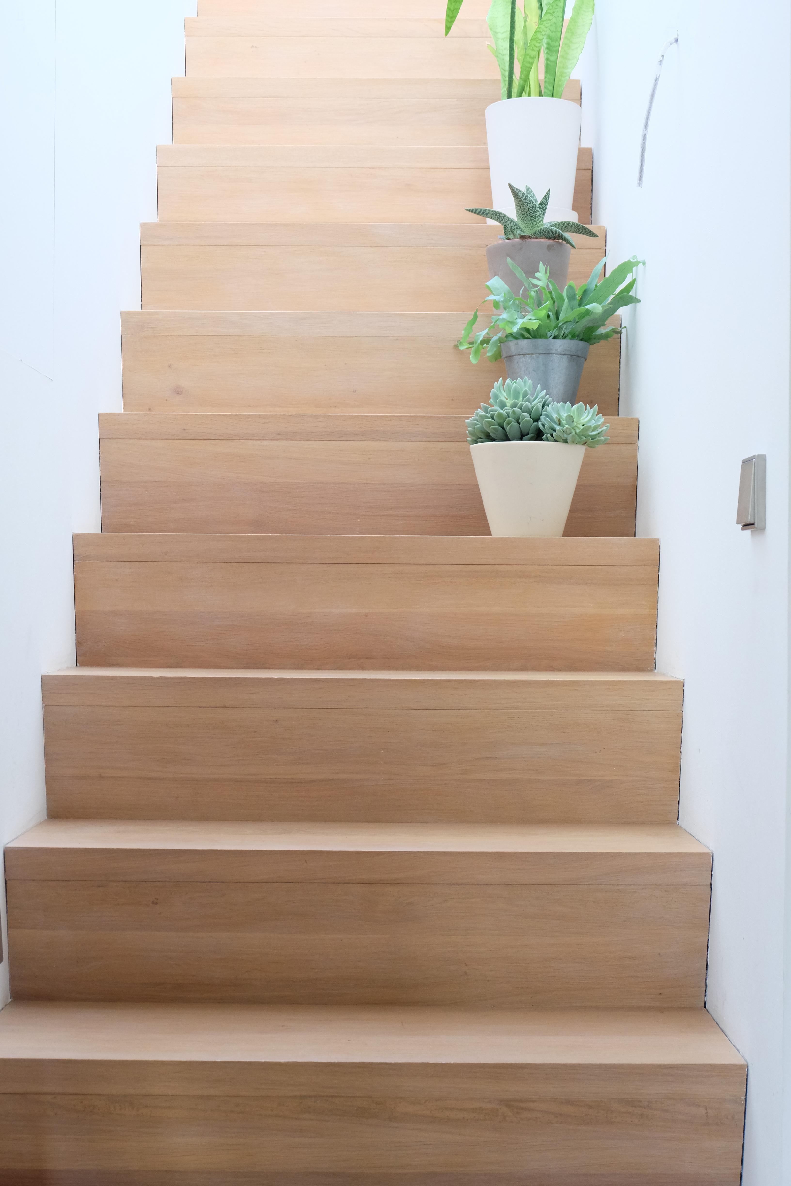 Der Aufstieg zu unserer Dachterrasse #Treppe #Dachterrasse #minimalistisch #Pflanzen