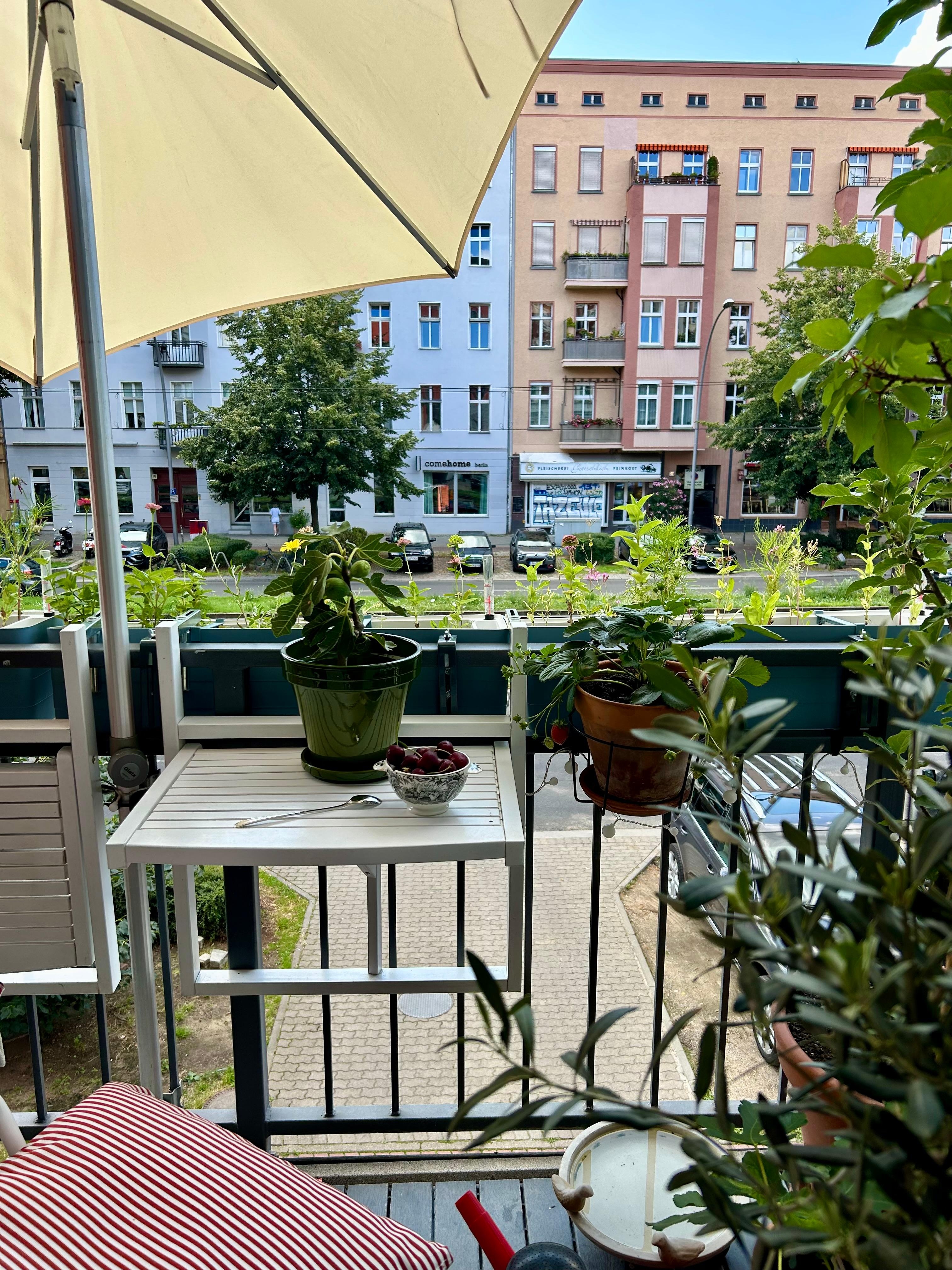 Der Balkon, das Sommerzimmer. In der Großstadt ein wunderbarer Ort. #Balkon #Prenzlauerberg #Oase # Pflanzen 