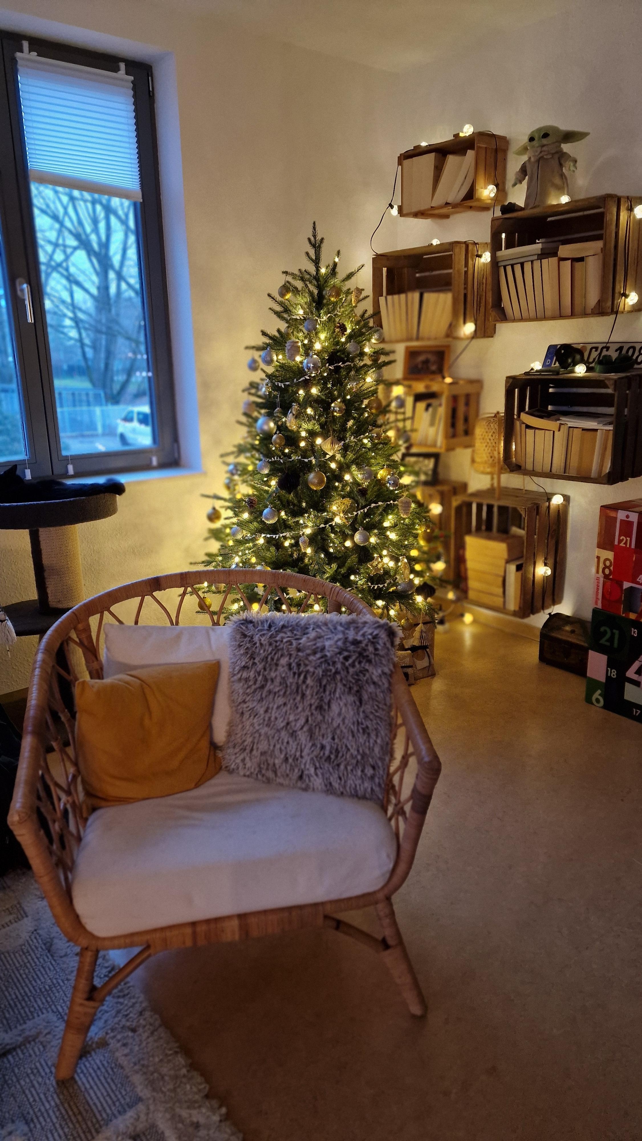 Der Baum steht bereit.
#Weihnachten #Weihnachtsbaum #Geschenke #holzkisten #Lichterkette #weihnachten2023 #neuewohnung