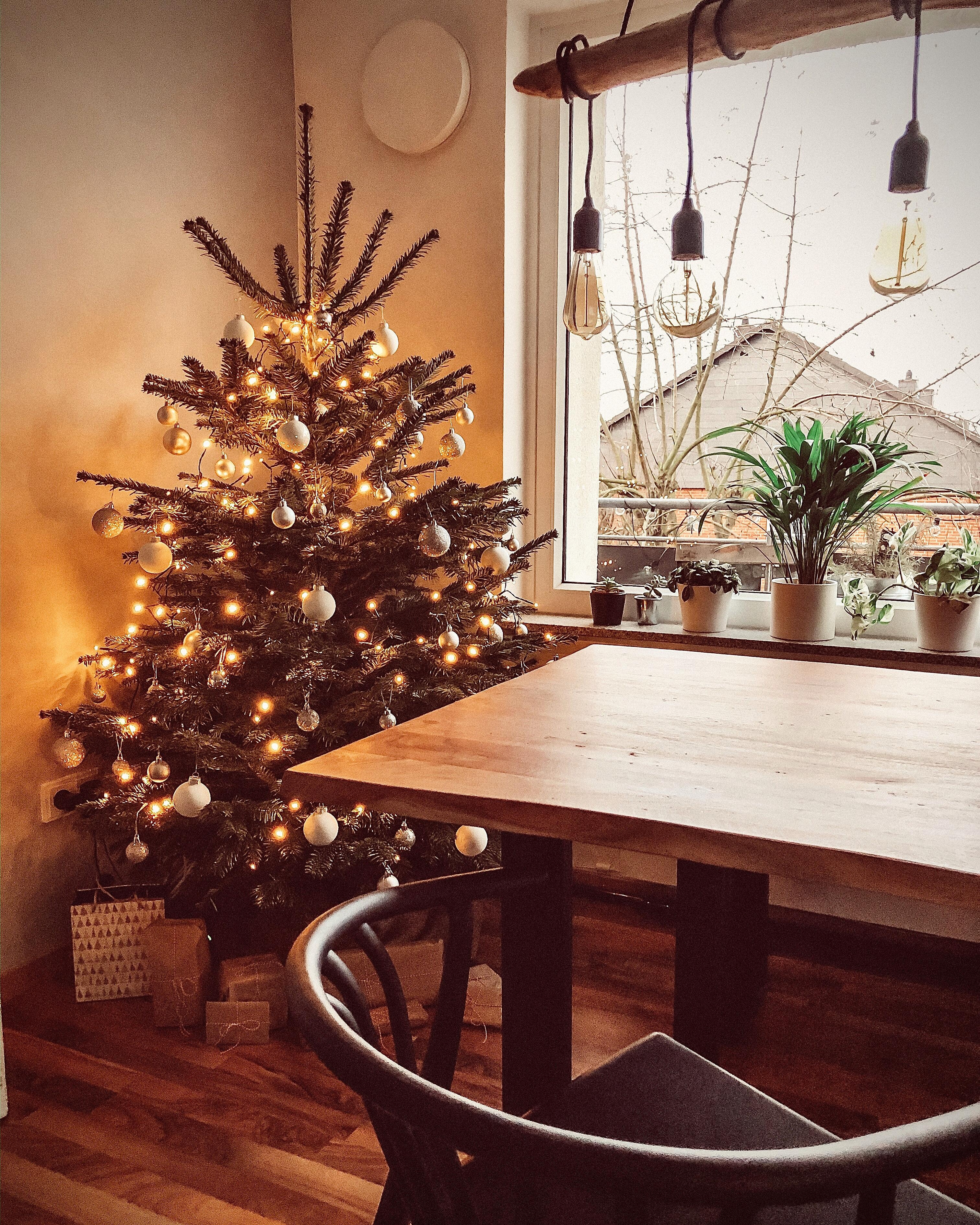 Der Baum steht, ich bin bereit!🎄🎅🏼 #christmas #weihnachtsbaum #interior #skandi #weihnachtszauber #cozy #meinwohnzimmer
