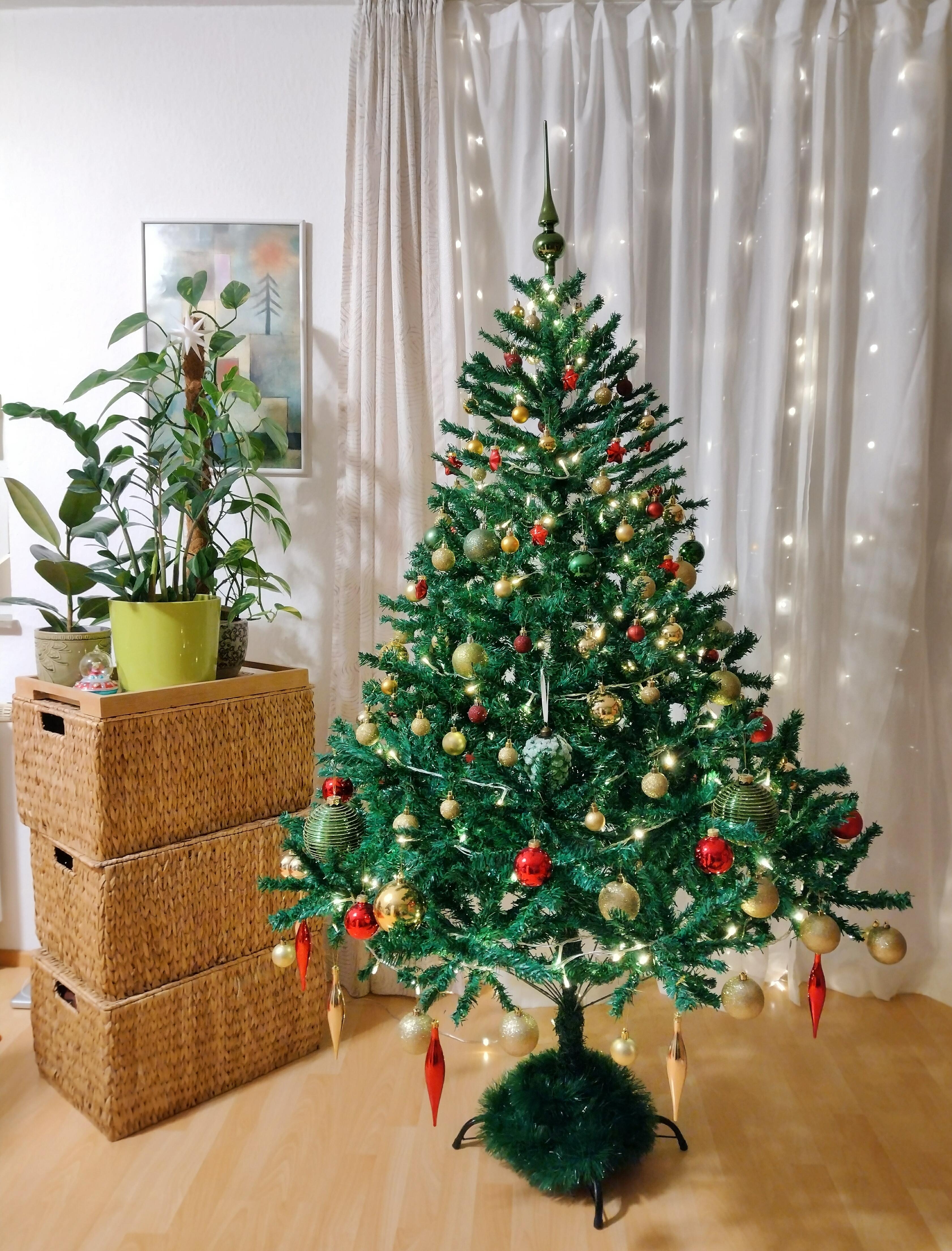 Der Baum steht, und er wurde endlich dekoriert 🎄
#weihnachtsbaum #wohnzimmer #tannenbaum #christbaum
