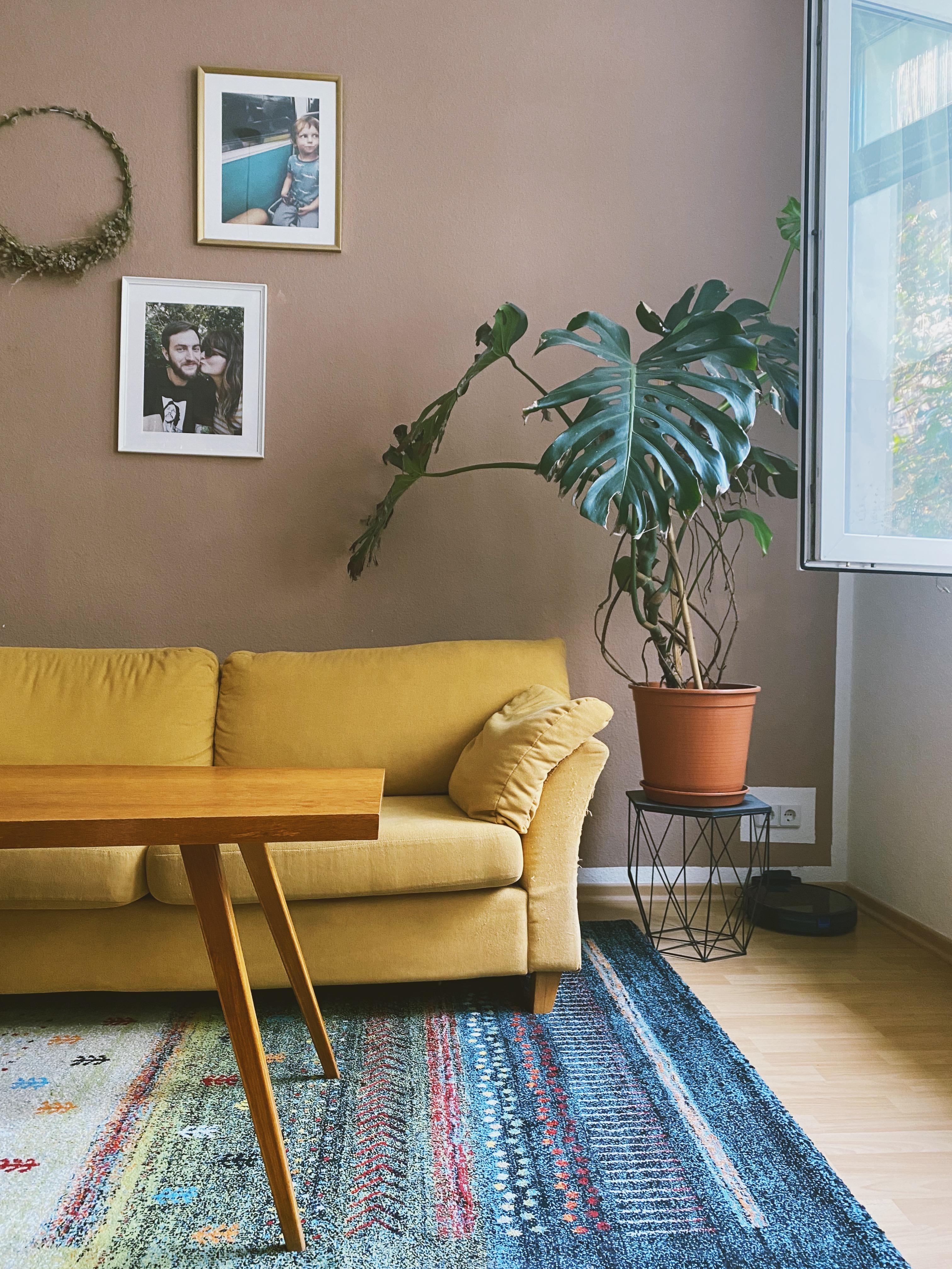 Der eine kurze Moment am Morgen, um frische Luft in die Wohnung zu holen. #livingroom #sofa #monstera #vintage