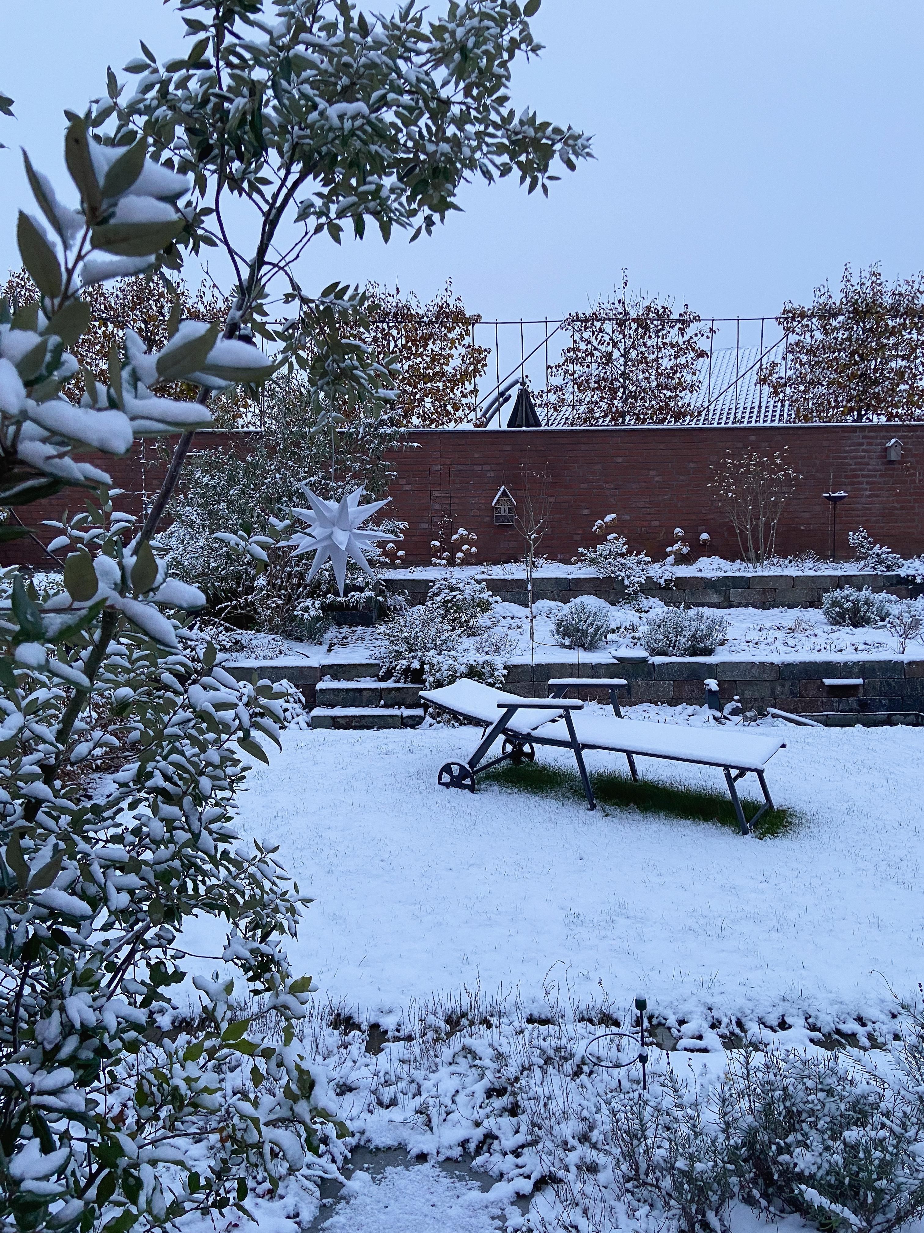 Der erste Schnee bei uns im Garten. 
#dezember #schnee #garten 