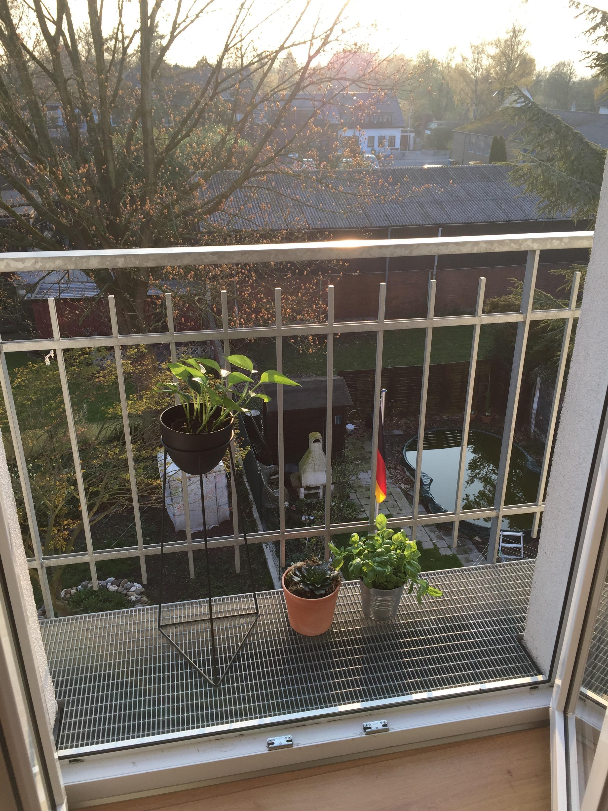 Der erste Sommer mit eigenem klitzekleinen Balkon. So sieht es jetzt aus, aber da geht noch mehr, aber WIE? #meinbalkon