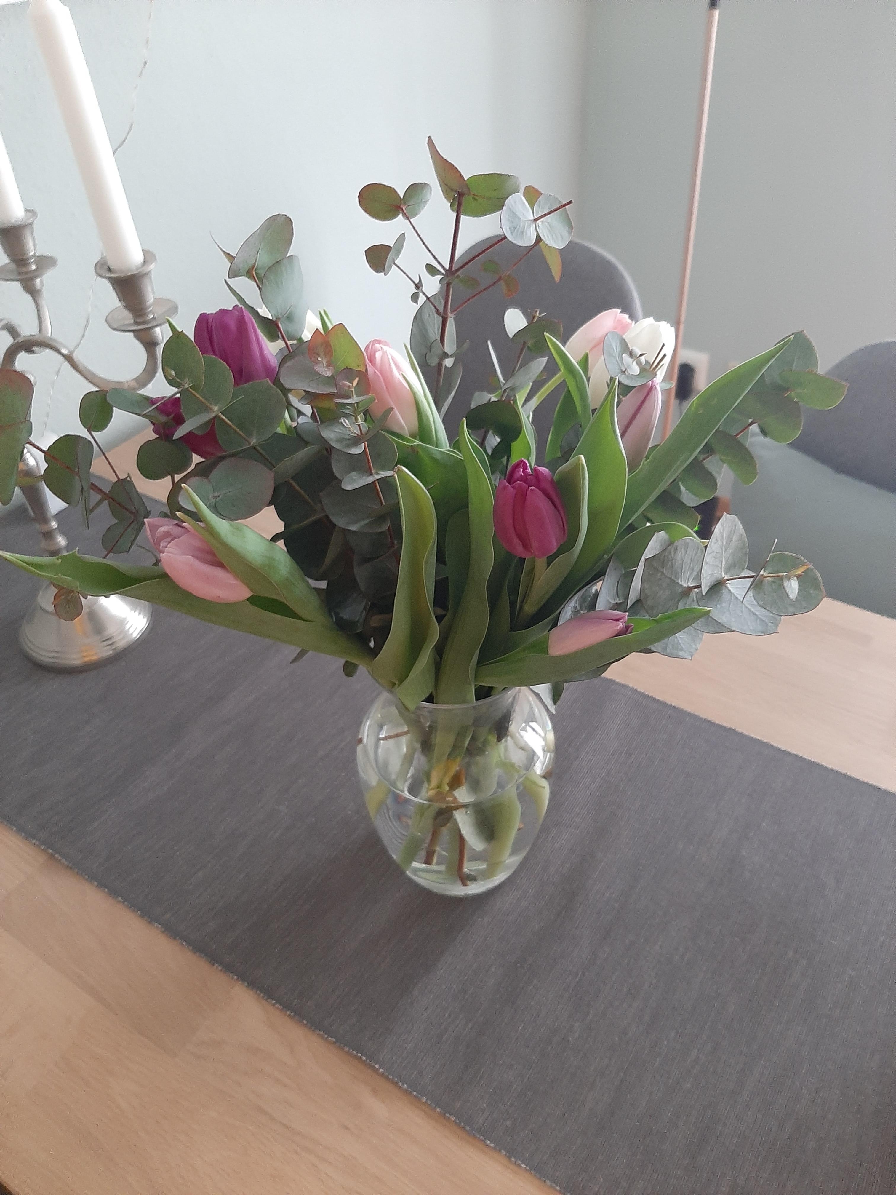Der Frühling kann kommen 🌷 #tulpenliebe #eukalyptus 
