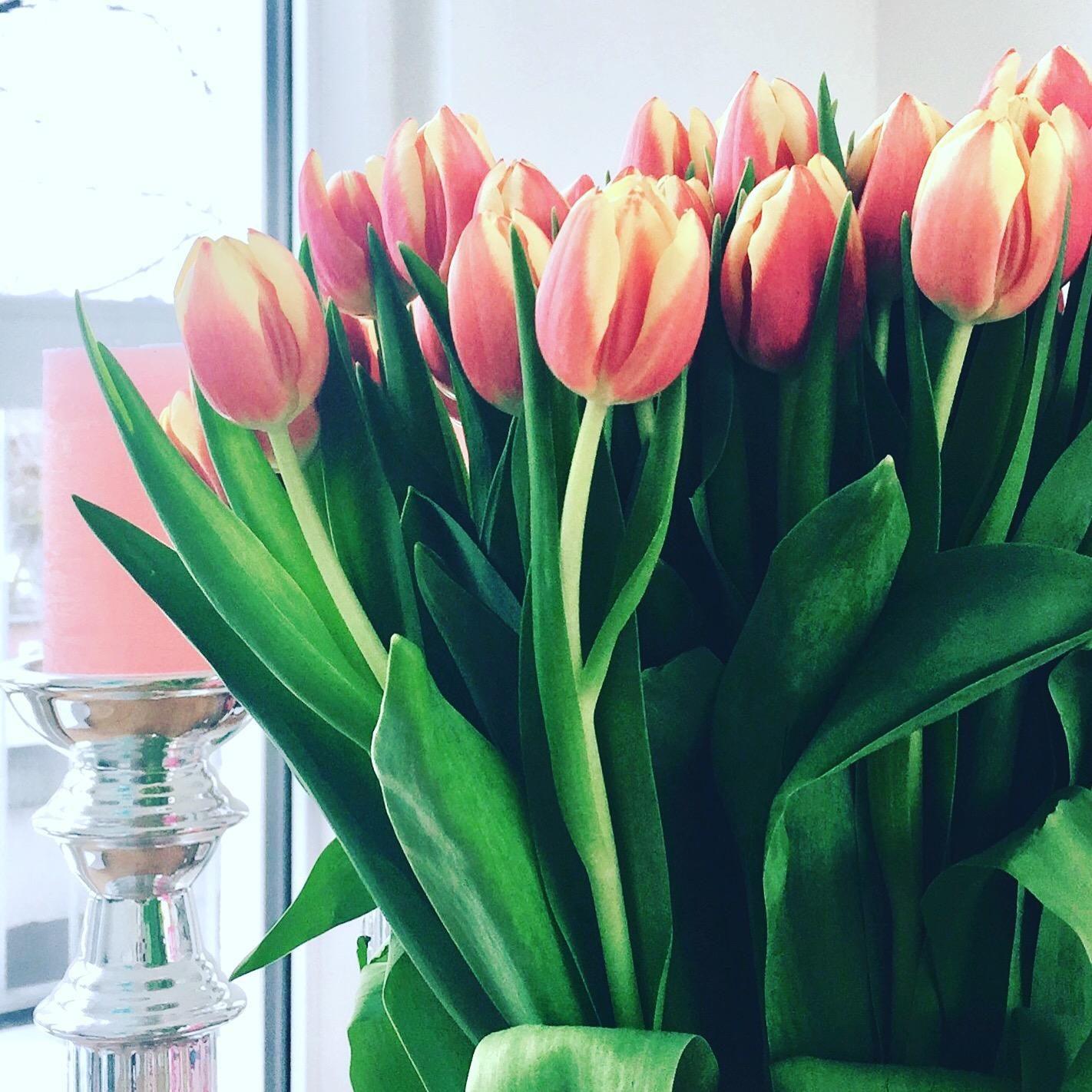 Der Frühling kommt. #frühling #tulpen #blumenliebe 