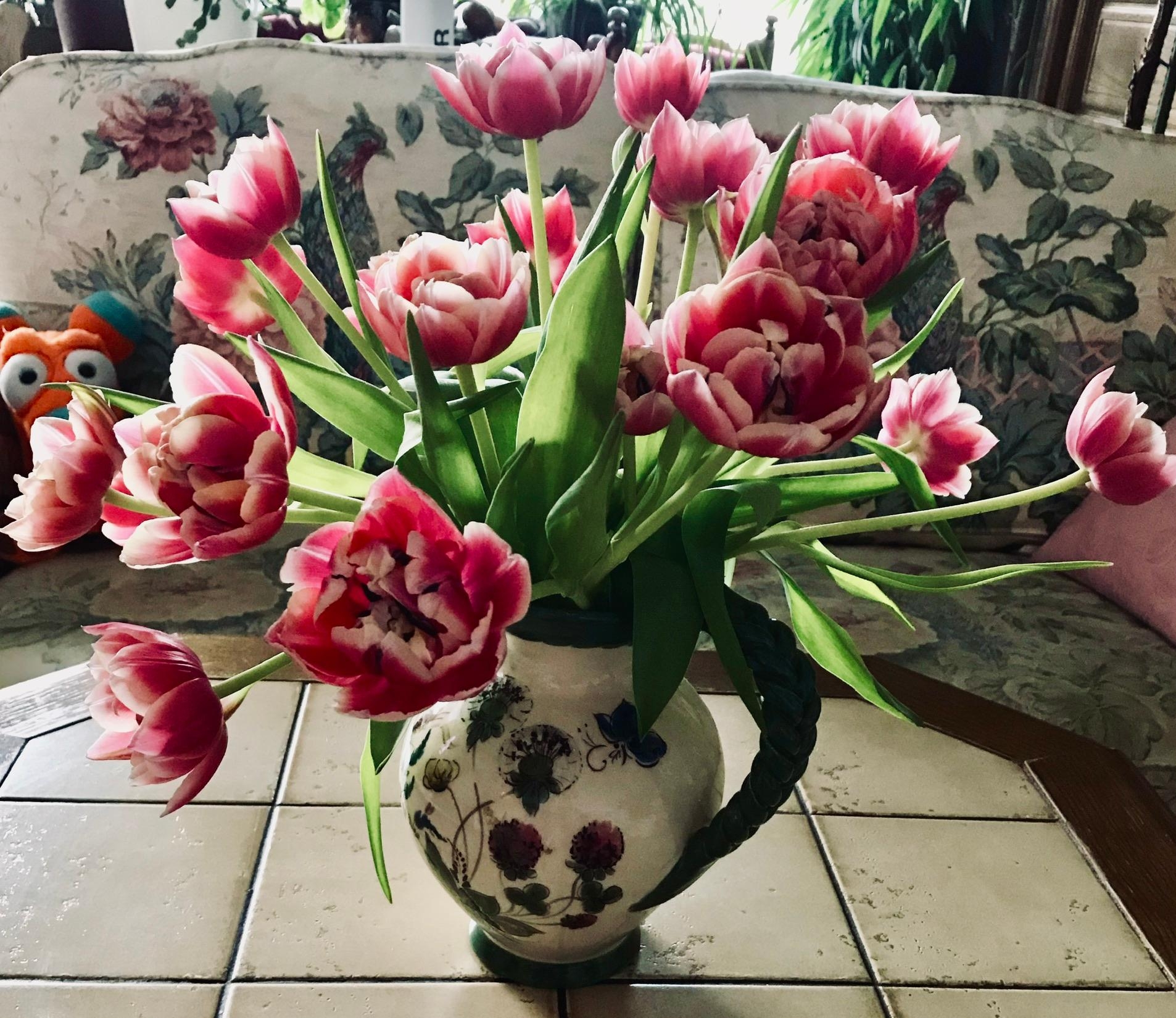 Der #frühling naht 😃 Tulpen