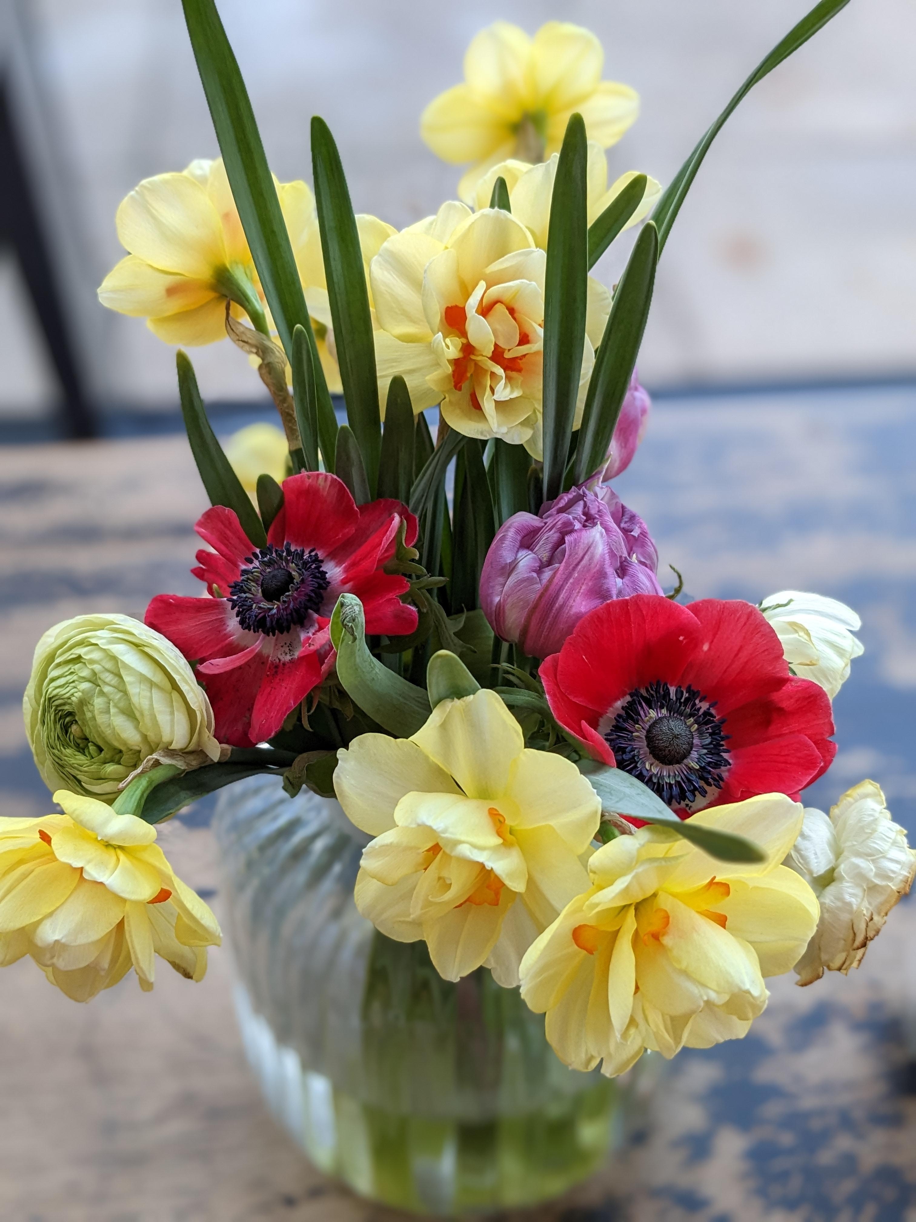 Der Frühling zieht ein 🌸☀️
#blumen #flowerpower #blumenstrauß #blumenliebe #frühling