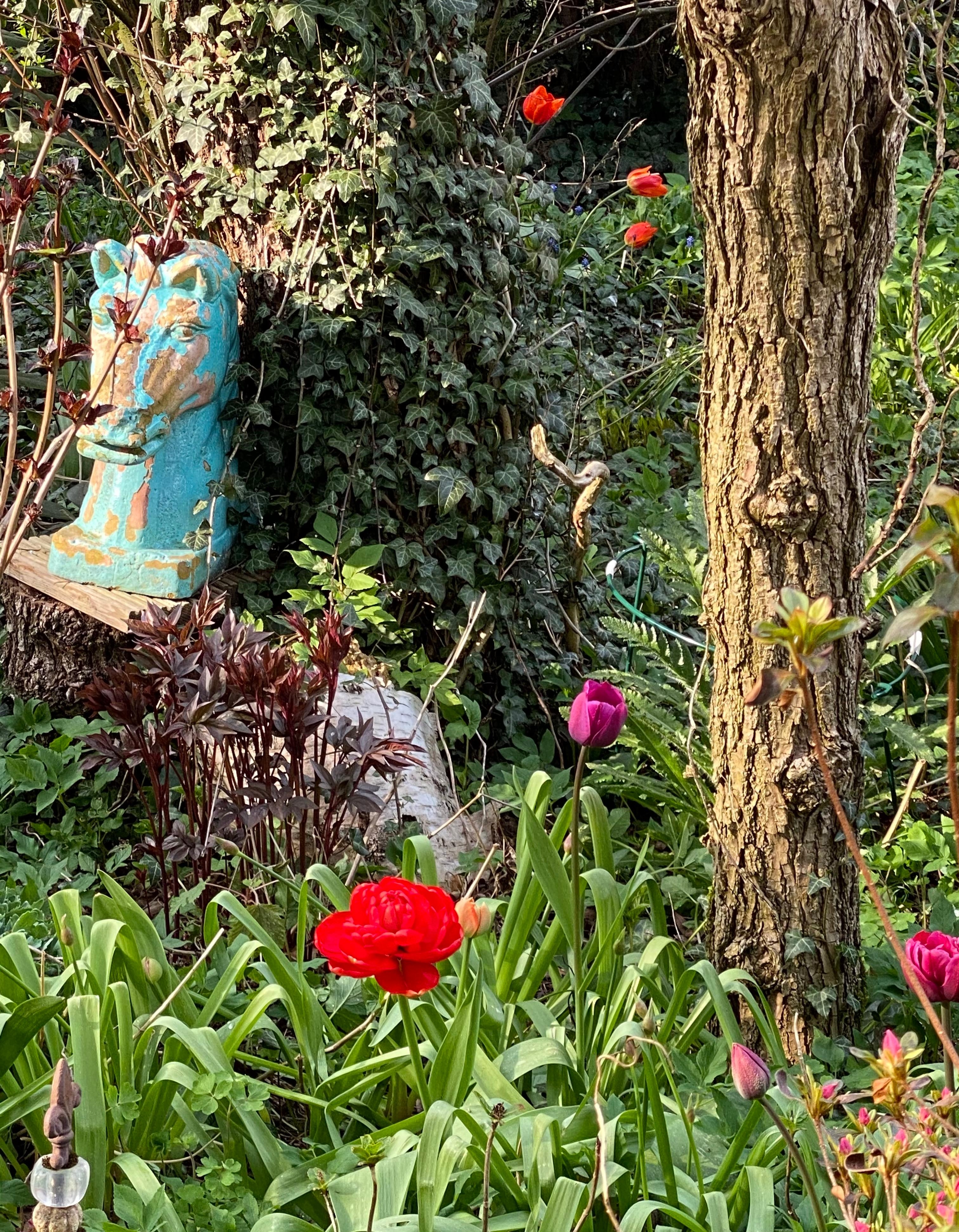 Der Garten erwacht langsam aus seinem Winterschlaf. #Garten #Tulpenliebe
