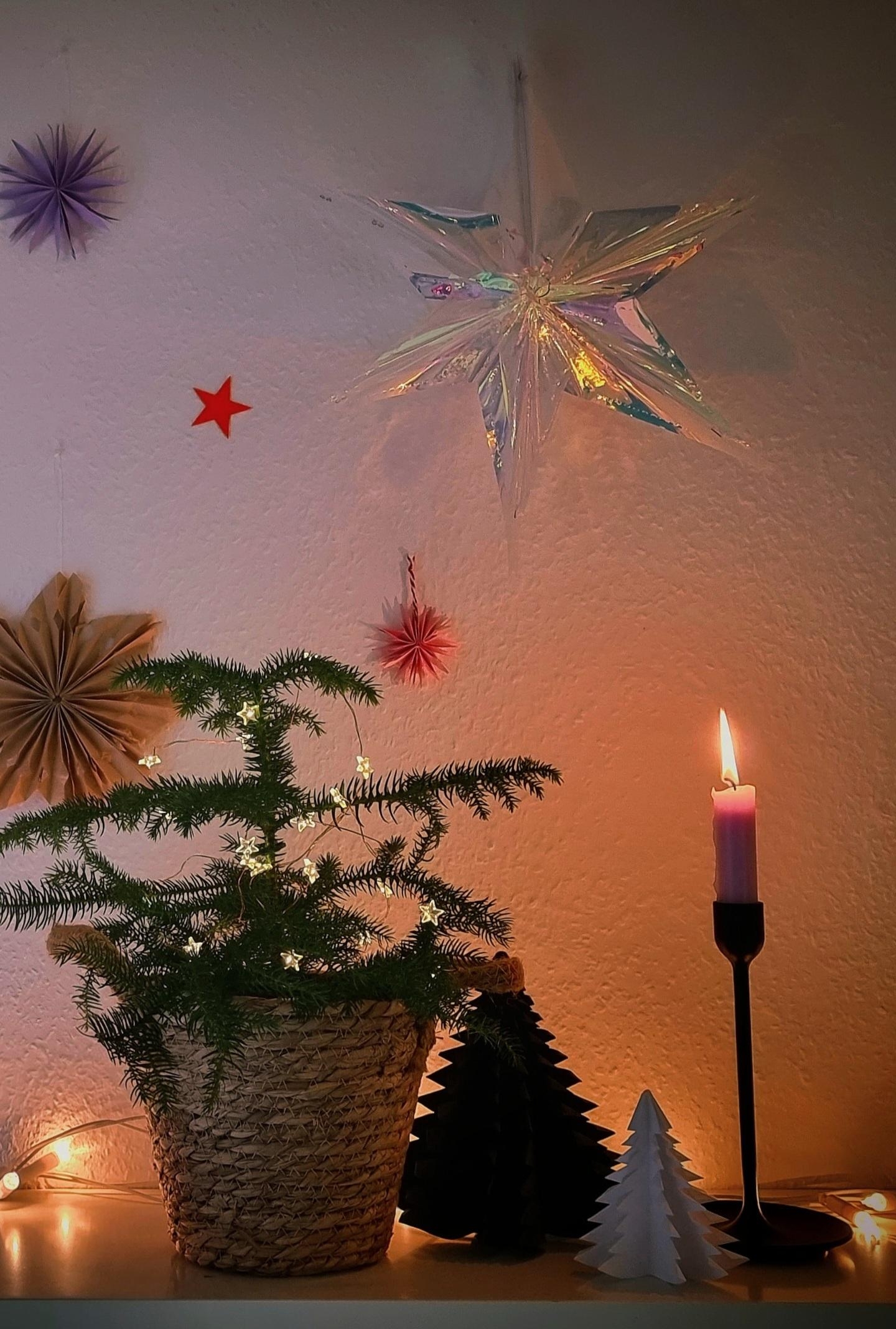 Der Großteil der #Weihnachtsdeko ist geschafft💫 #diy #Papierstern ➕️ #Tannenbaum #cozytime #Wohnzimmer #hygge #xmas #Weihnachten #christmastime 