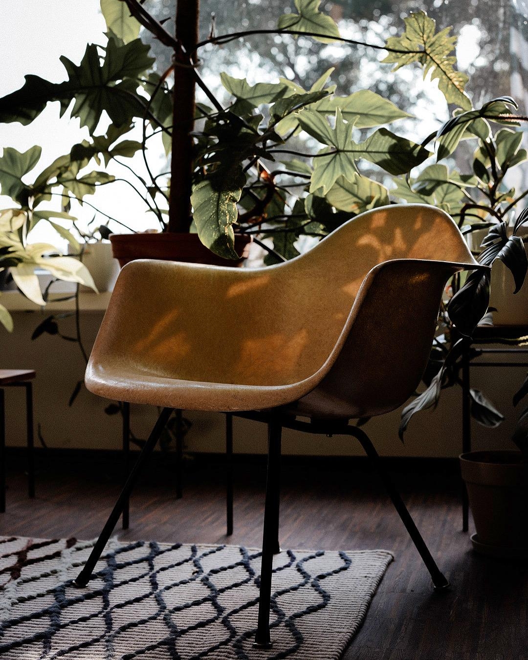 Der gute alte Eames Armchair im Abendsonnenlicht #eames #armchair