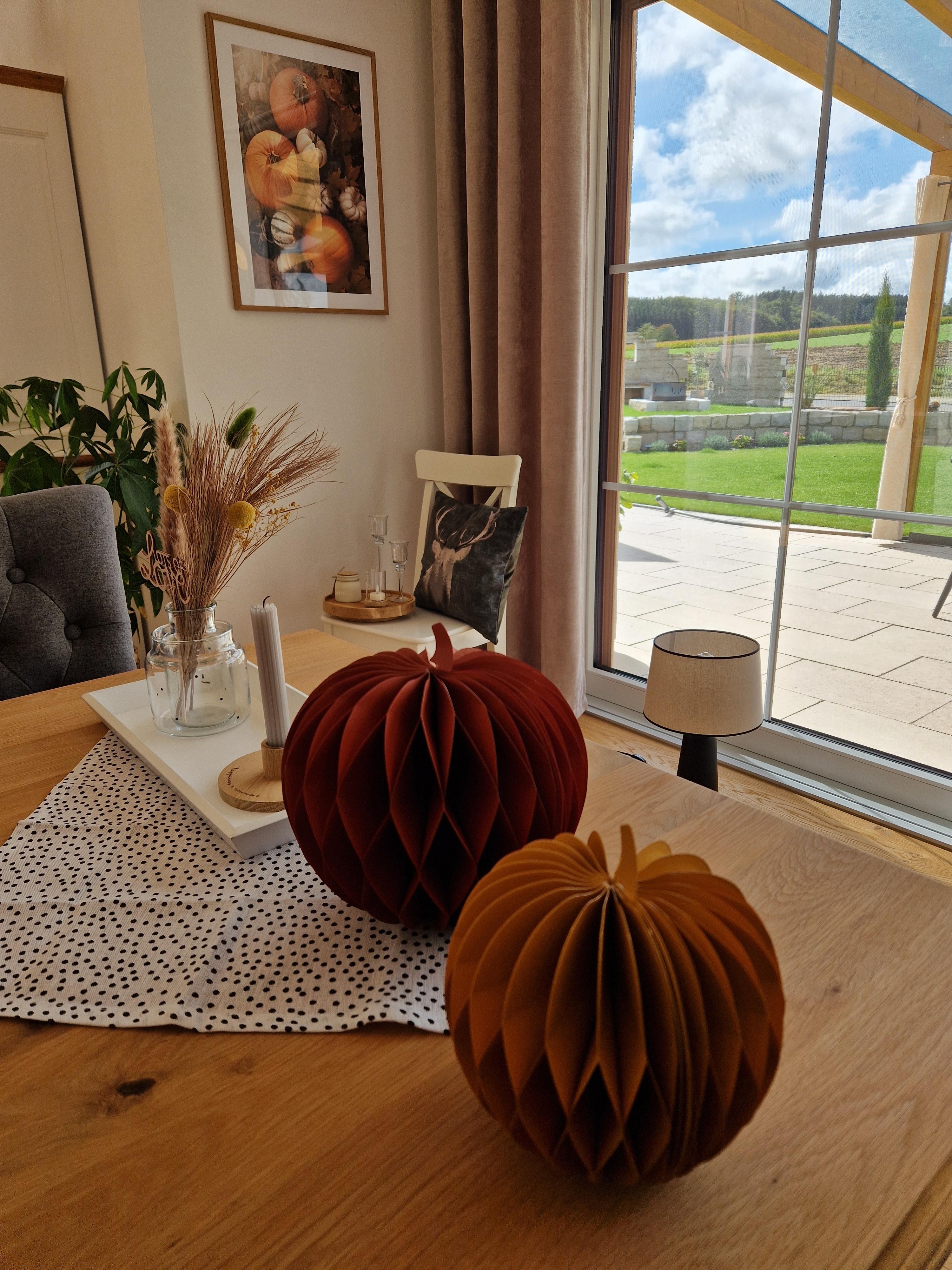 Der Herbst ist eingezogen 🎃🍁🍂