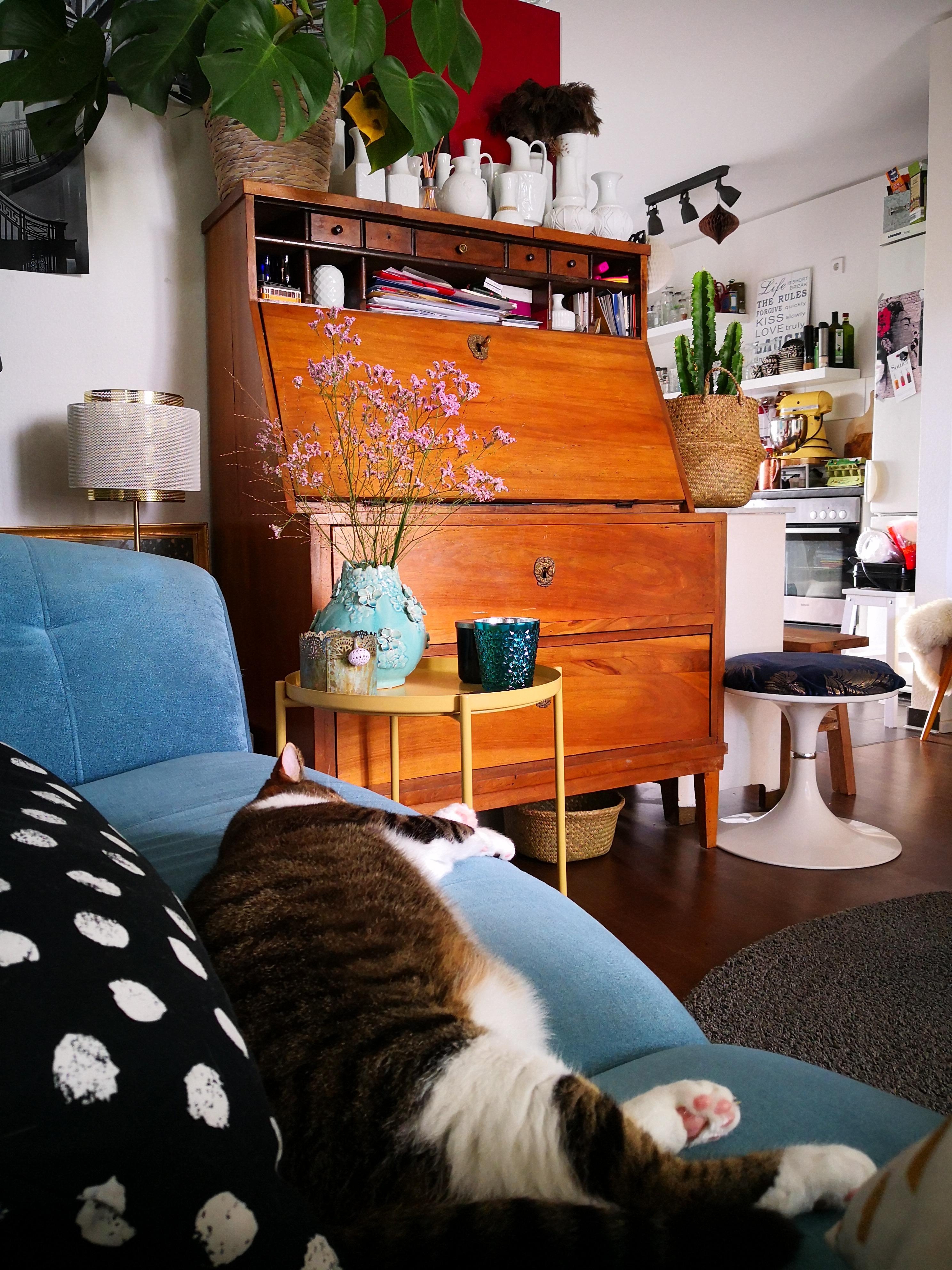 Der Kater hängt hier auf dem Sofa ab, 30 Grad sind Hugo zu warm #catcontent #livingroom #relax #crazycat #stylemix 