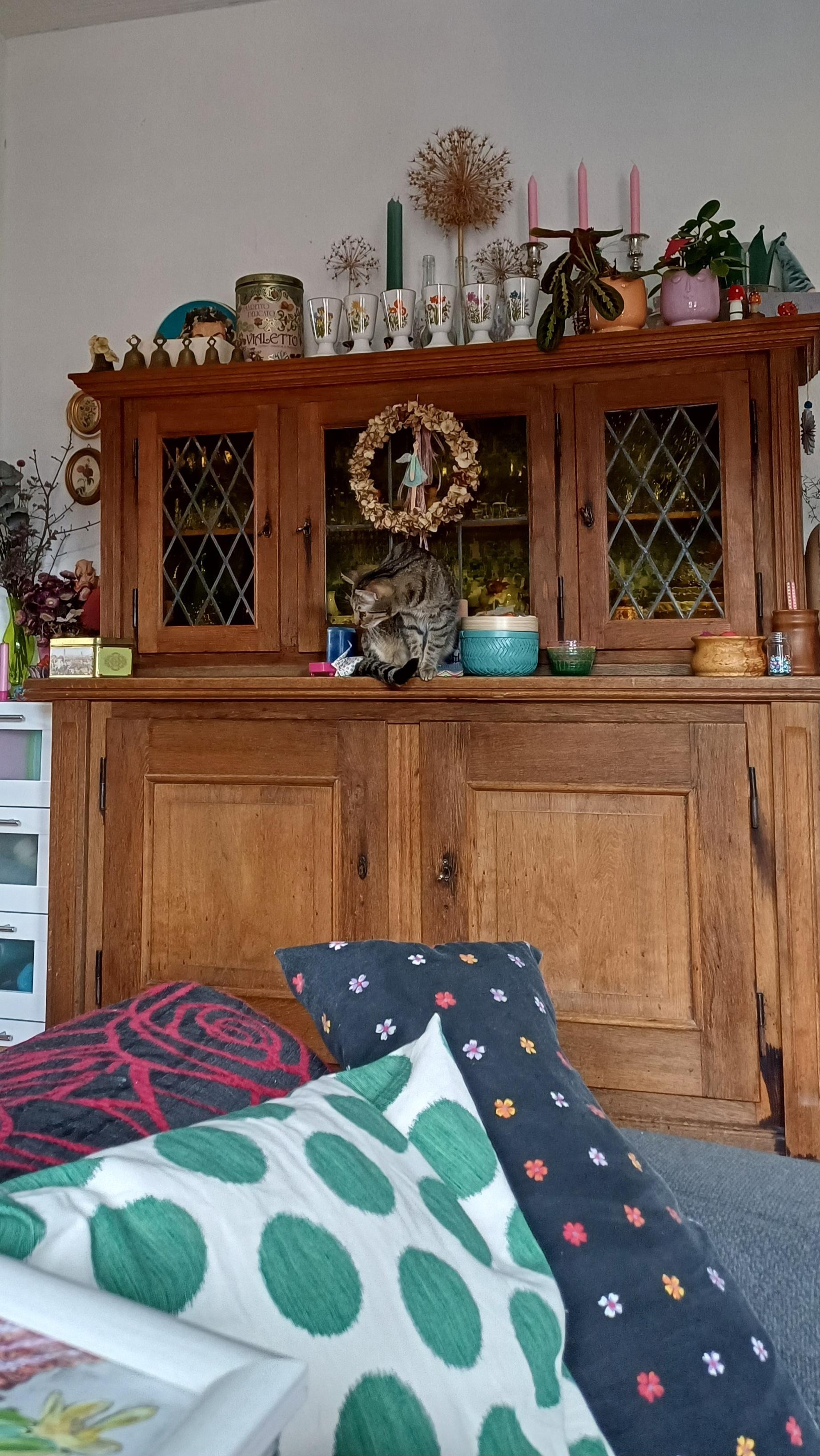 ..der Kater hat sich mal wieder einen Platz in der Deko gesucht 😅 
#Wohnzimmer #Wohnzimmerschrank #Deko #dekorativ #Katze 