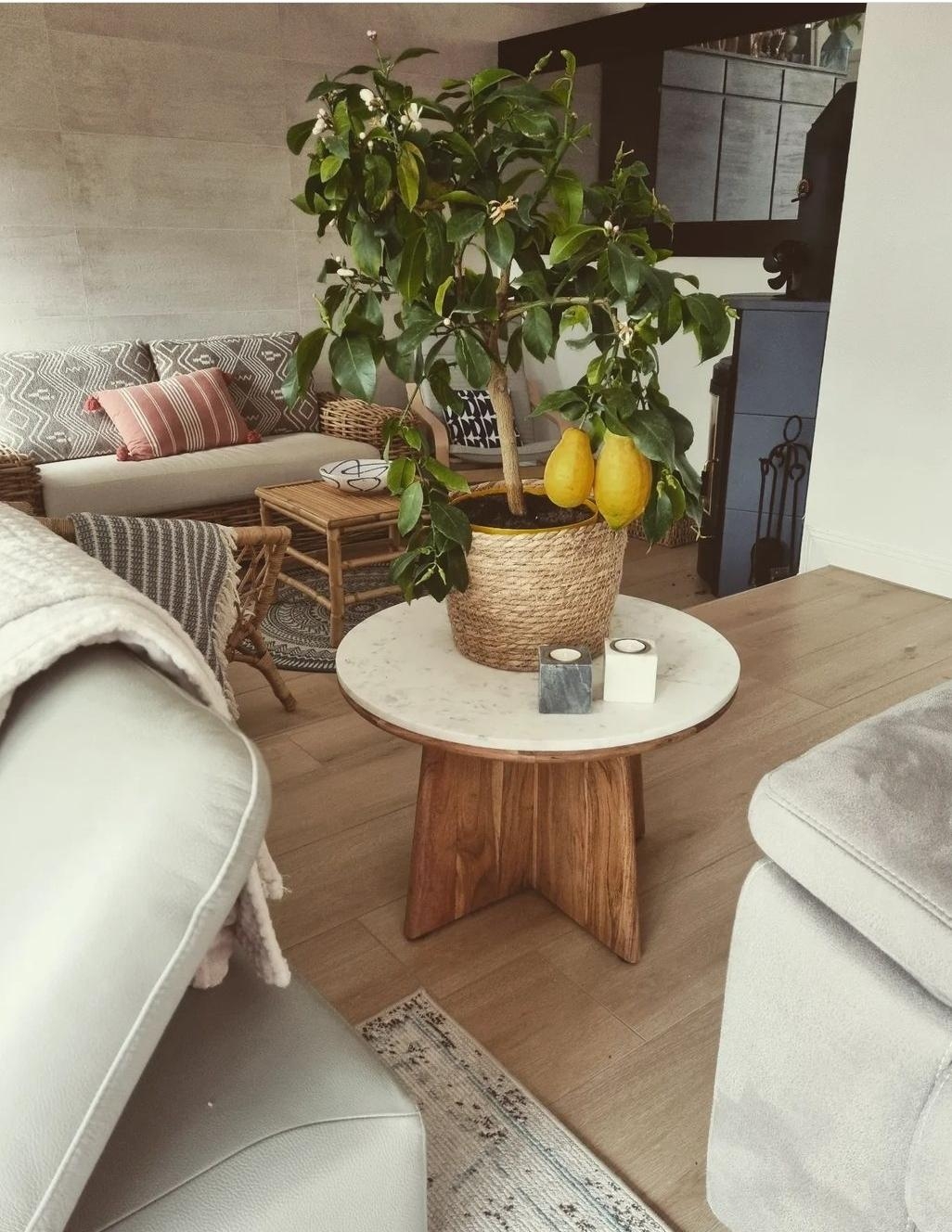 Der kleine Zitronenbaum und dieser Coffe Table gehören einfach zusammen 😍
#livingchallenge #wohnzimmer #lemontree #cof 