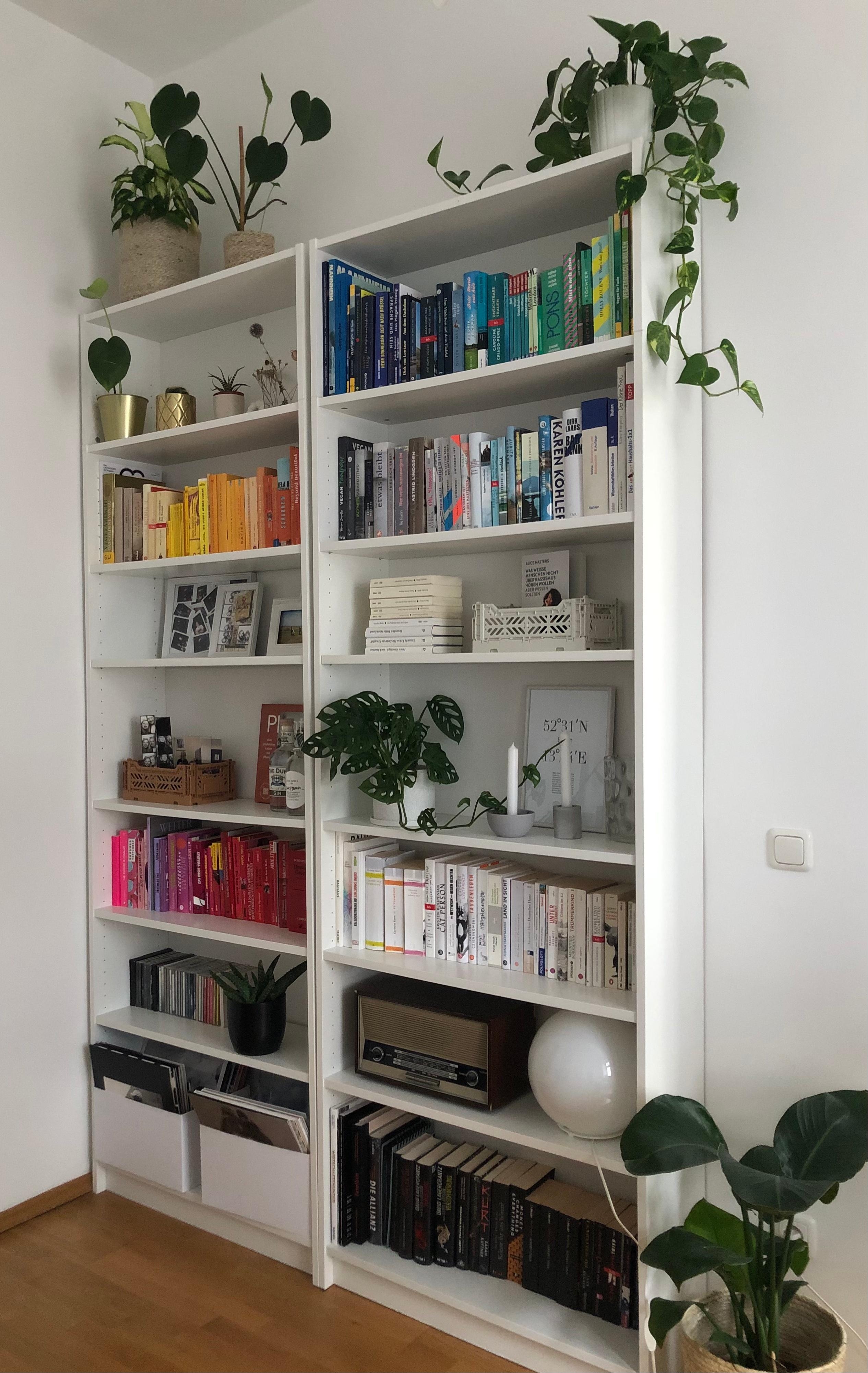 Der ordentlichste Platz in meiner Wohnung: das Bücherregal 📚 #livingchallenge #ordnung 