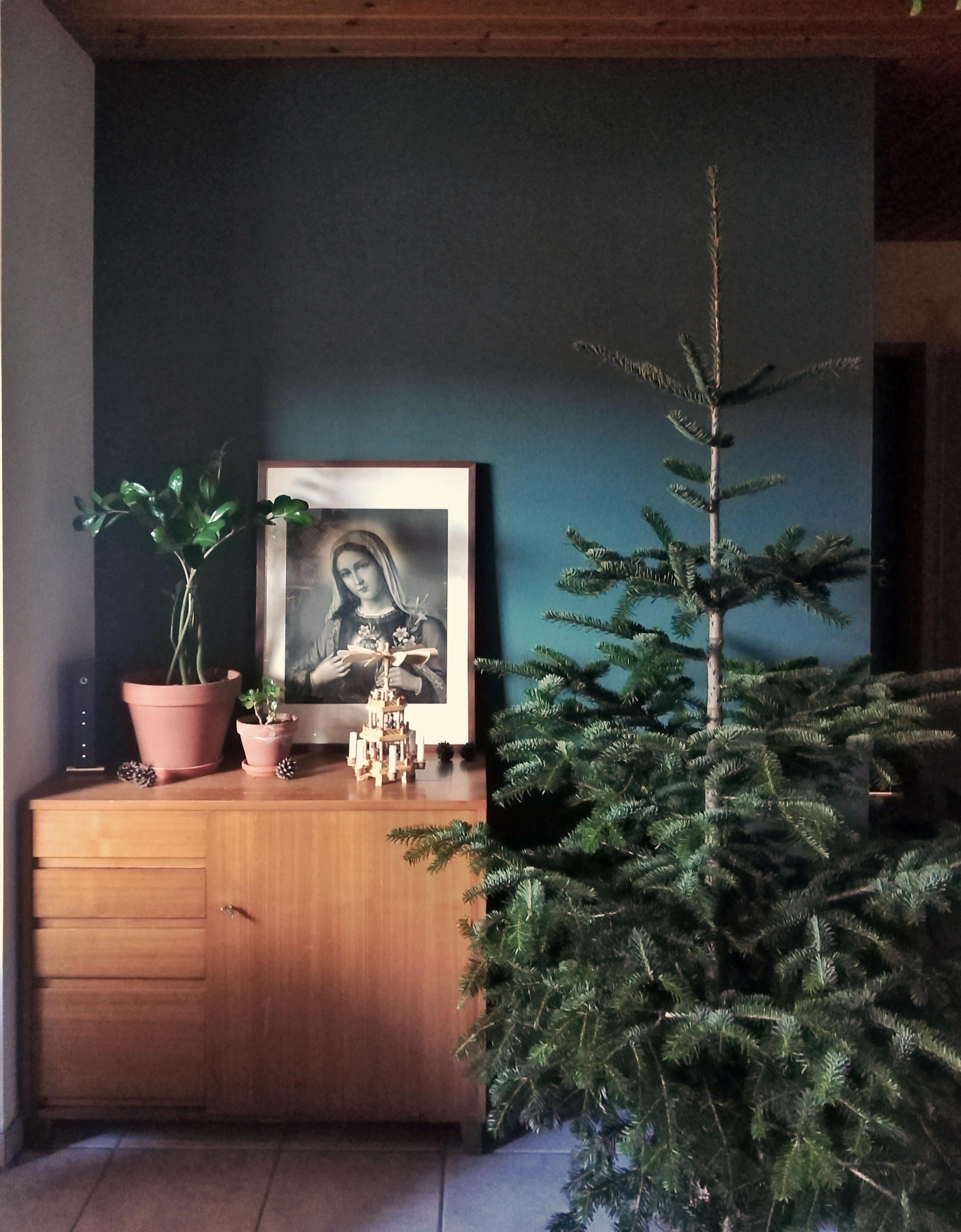 Der Tannenbaum steht und verwandelt sich am Nachmittag in einen #Weihnachtsbaum. #wohnzimmer #weihnachtsdeko #vintage 