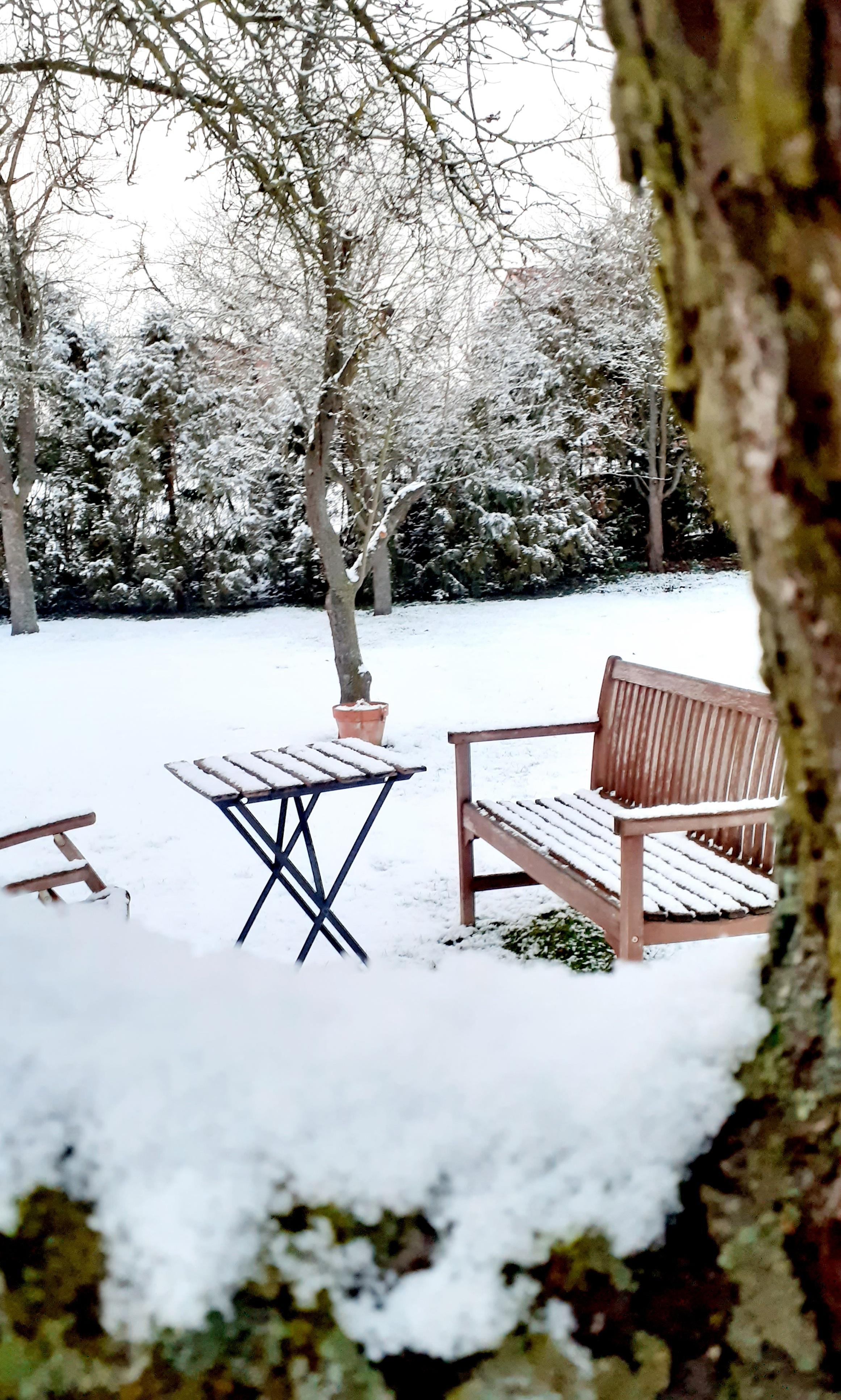 Der verschneite Garten #garten #gartenliebe #winter #januar 