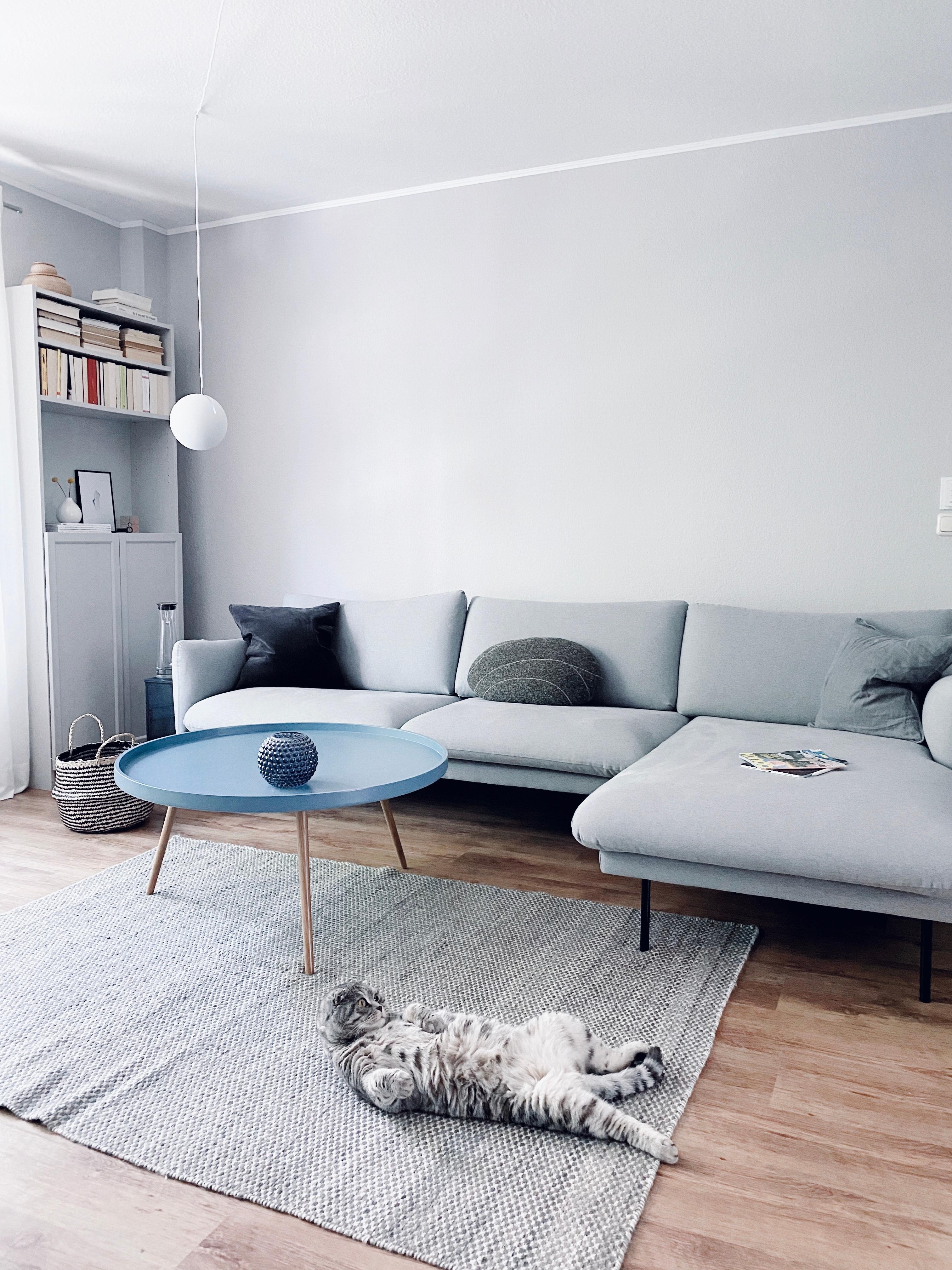 Der Versuch nach Quarantäne Sit-Ups zu machen 🙈 #catlover #interior #nordichome #murzikthegrumpyone #livingroom #hygge
