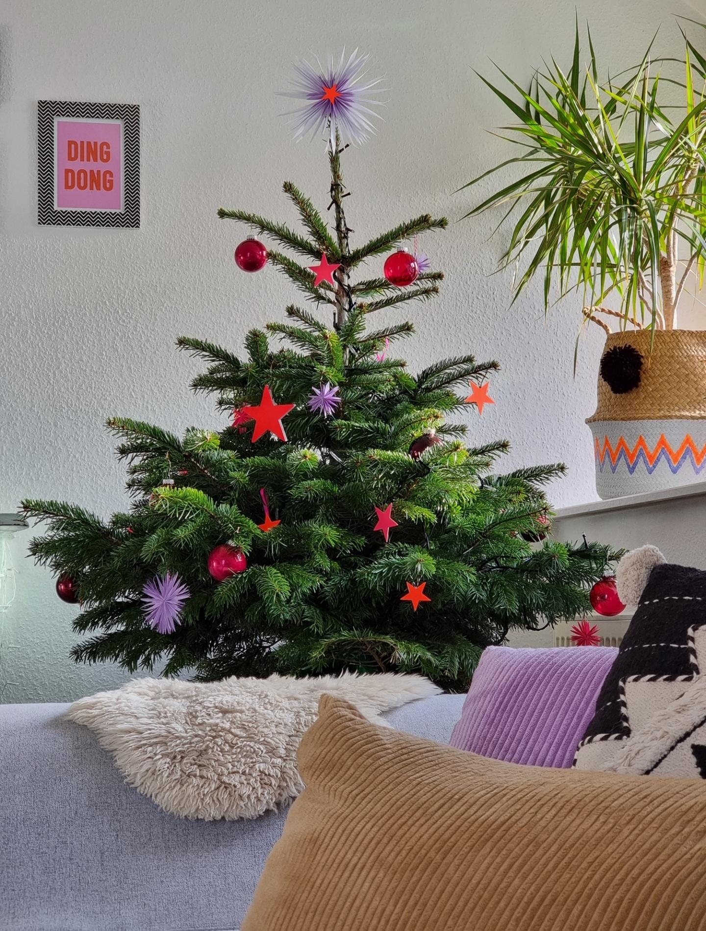 Der #Weihnachtsbaum steht 🎄 #Diy #Baumschmuck #Sterne in #Neon ➕️ #handmade #Baumspitze 🌟 #Weihnachtsdeko #cozy #Xmas #Colorfulchristmas #Weihnachten 