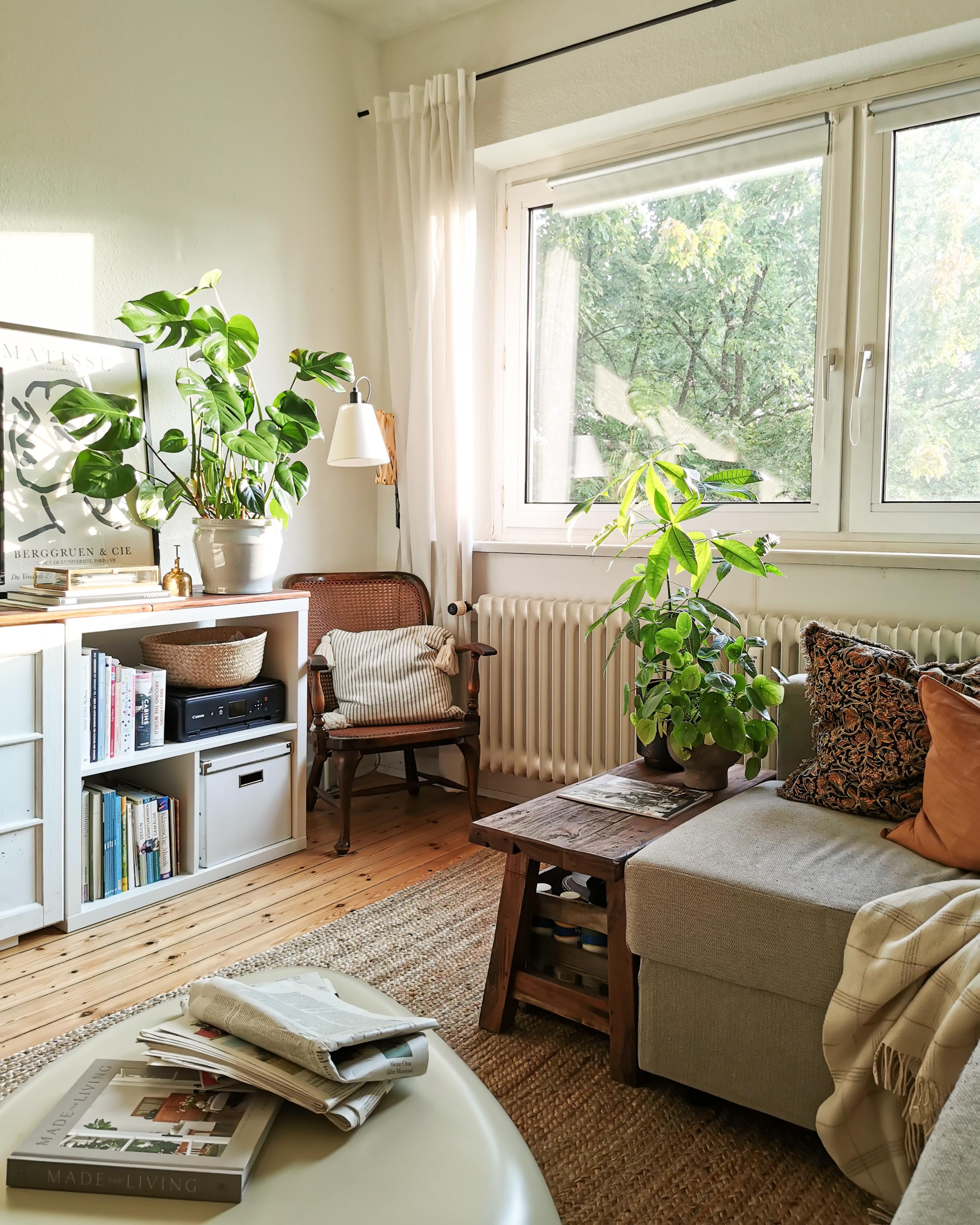 Der Wiener Geflecht Stuhl aus zweiter Hand fügt sich gut ein im #wohnzimmer 🙂
#livingchallenge #cozy #natural