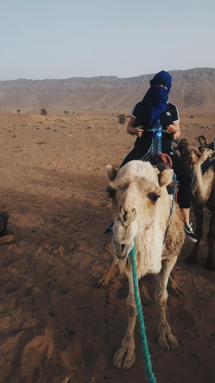 #desert #morocco #kamel