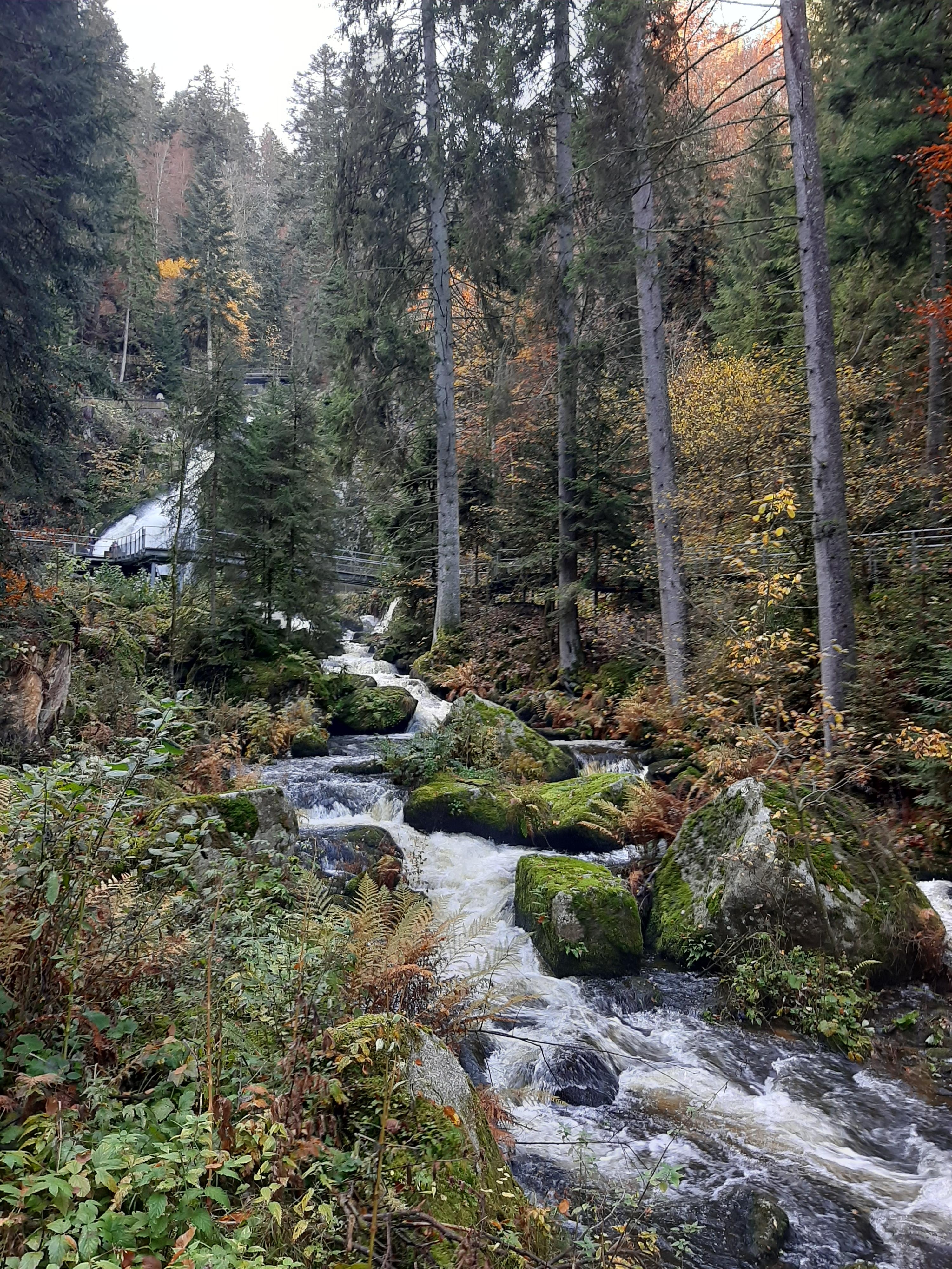 Deutschlands höchste Wasserfälle in Triberg. 
#Natur #Deutschland #Triberg #Wasserfall #Herbst