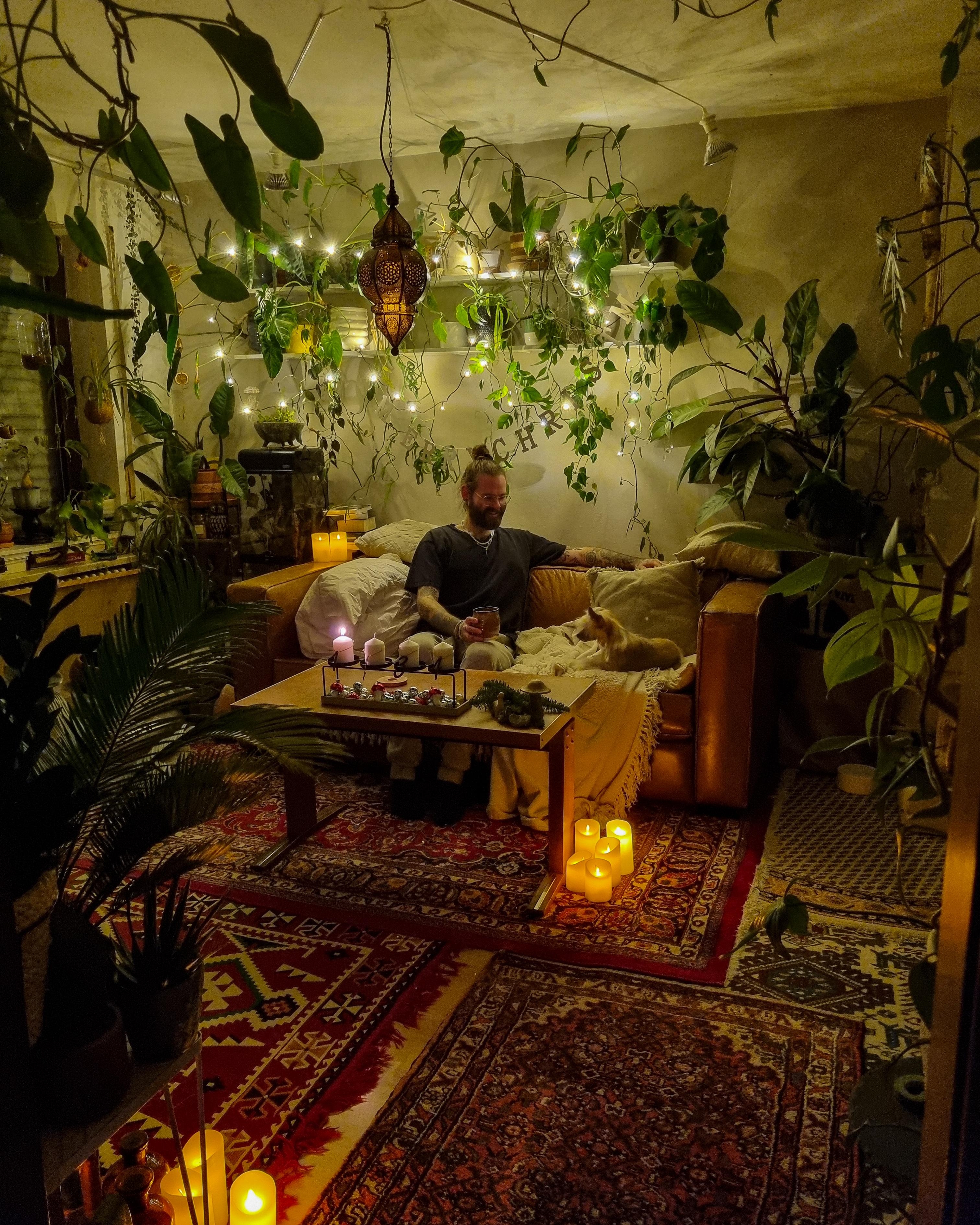 Die Adventszeit kann kommen ⭐️⭐️⭐️⭐️ #Wohnzimmer #Pflanzen #Licht #Lichterkette #Regal #Teppich #hygge #boho #hippie 