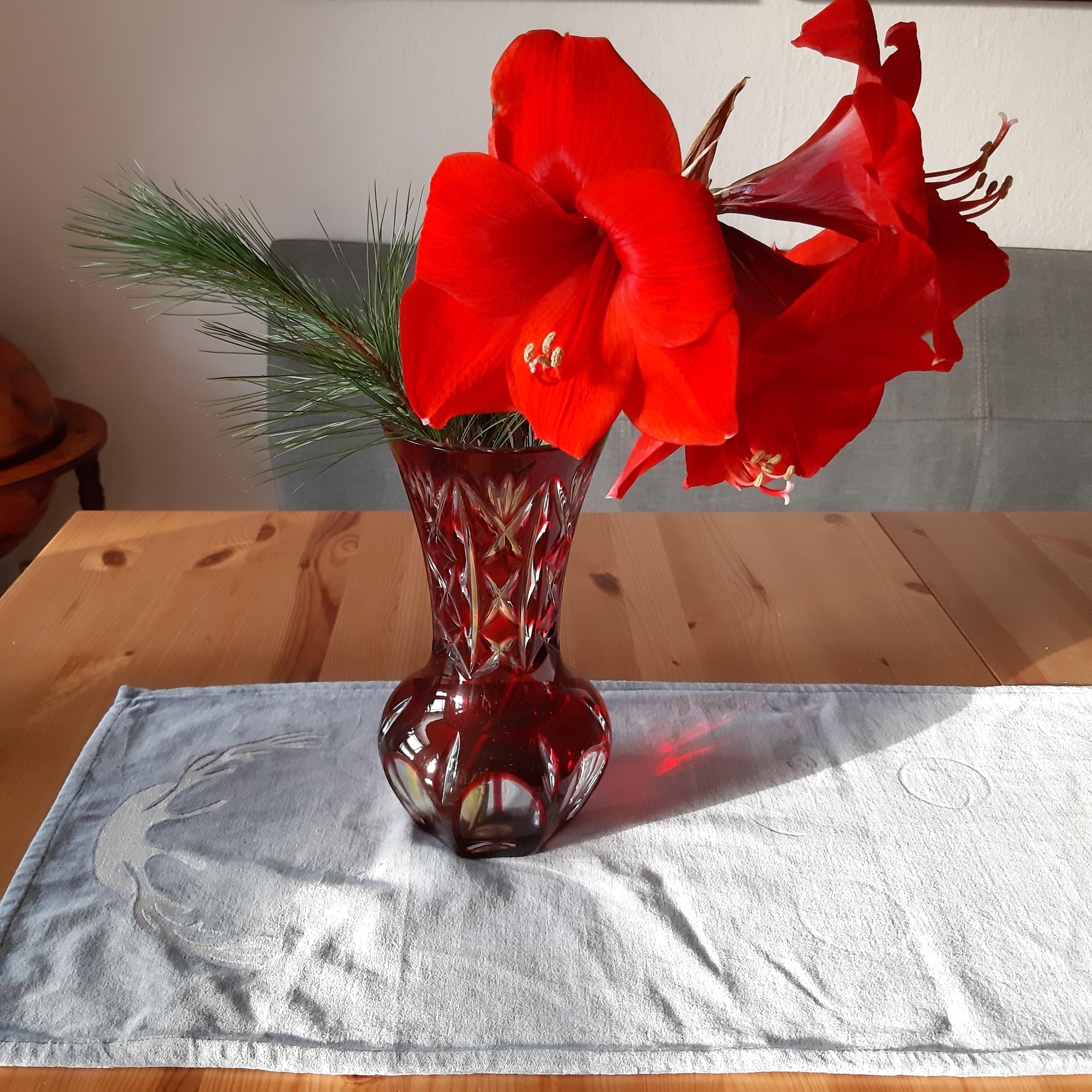 Die #amaryllis darf bei mir im Winter nicht fehlen. In der #vase von Oma macht sie sich doch gut. 