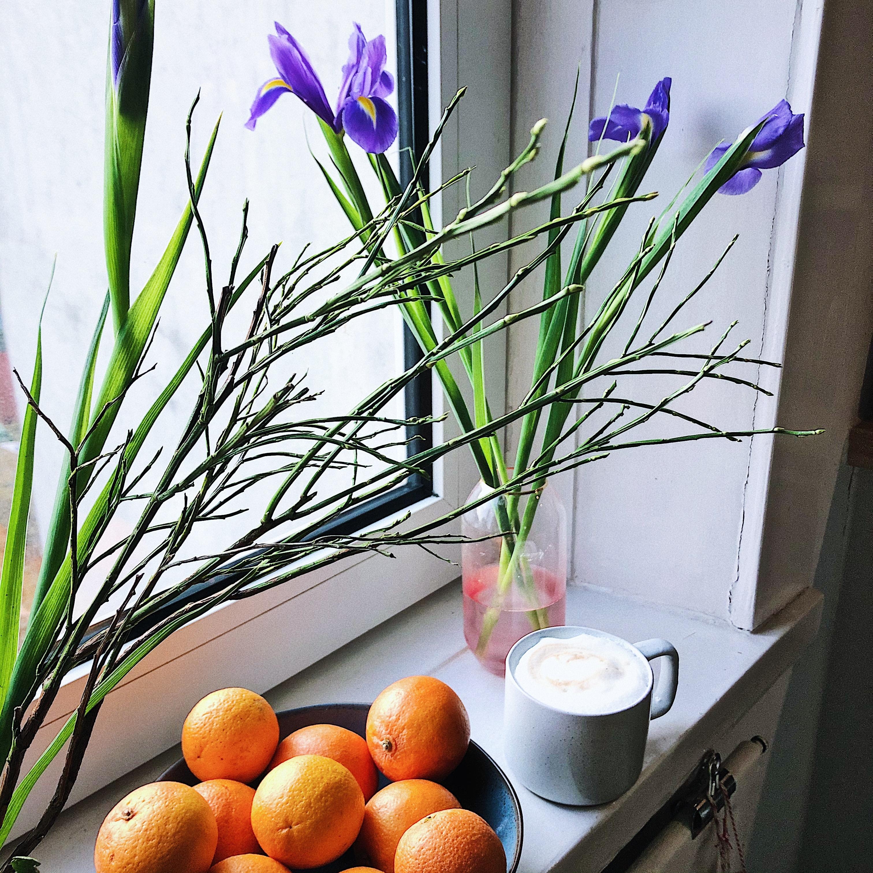 Die berühmte Wanderschwertlilie hat sich heute mal in die Küche bewegt und zum Kaffee gesellt.
#Blumen #Kaffee #Küche