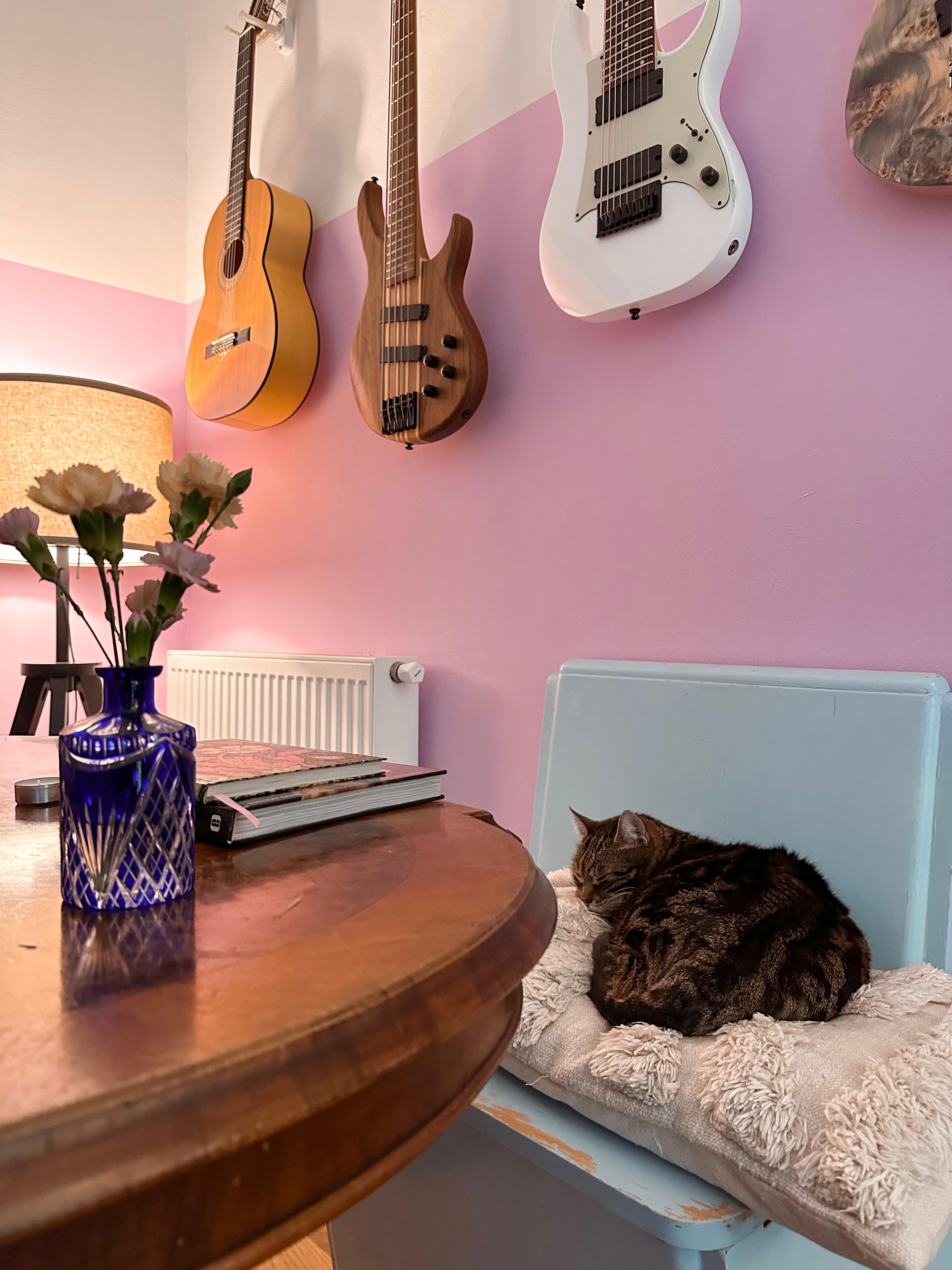 Die blaue Bank, die am Mistplatz schon im Container war. Da war sie aber noch nicht blau 😂🩵

#gitarren #rosa #wandfarbe #vintage #secondhand #thrifted #esstisch #blau