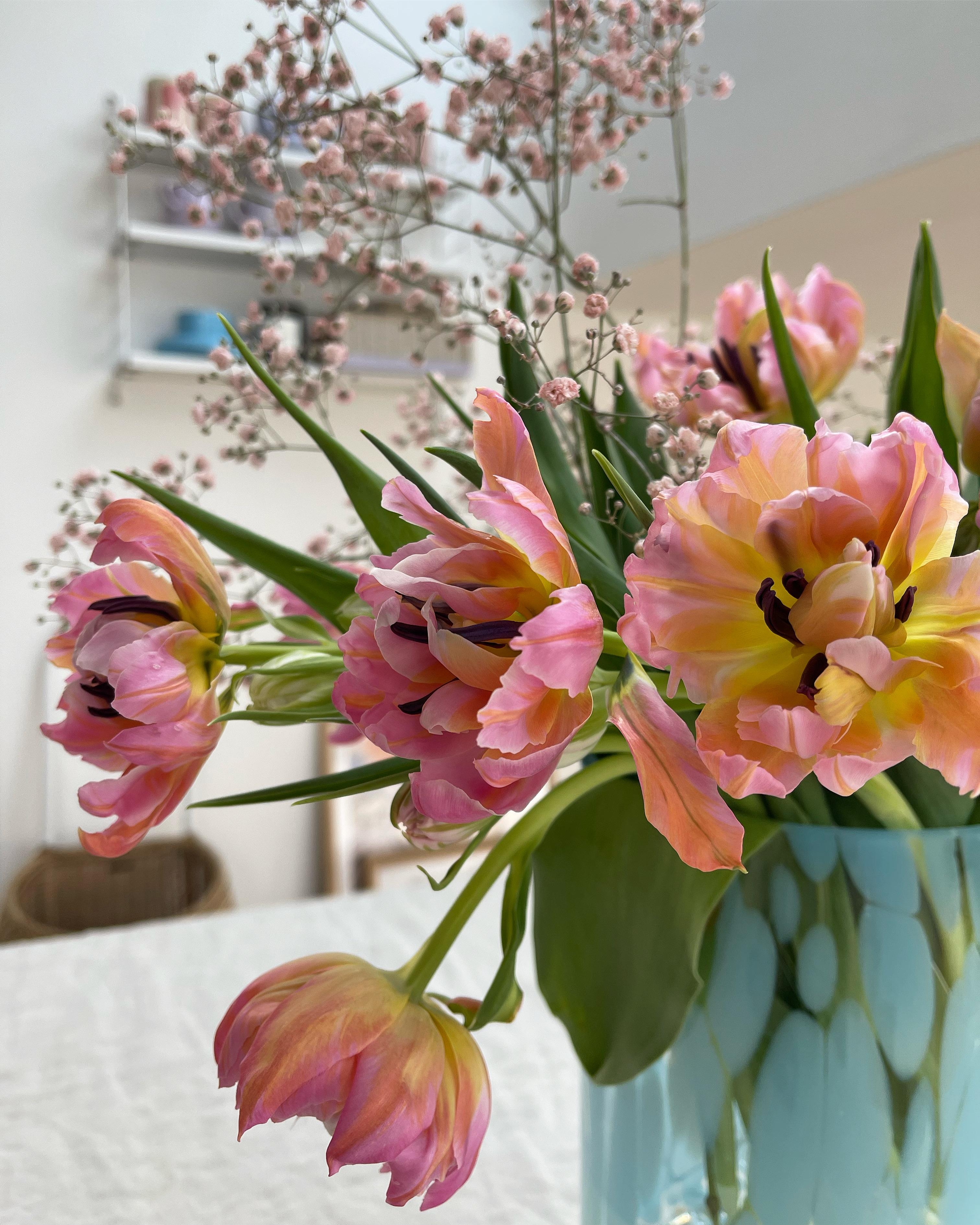 Die Blütenpracht und Farben! 💕
#frühblüher #freshflowers #tulpen #blumen