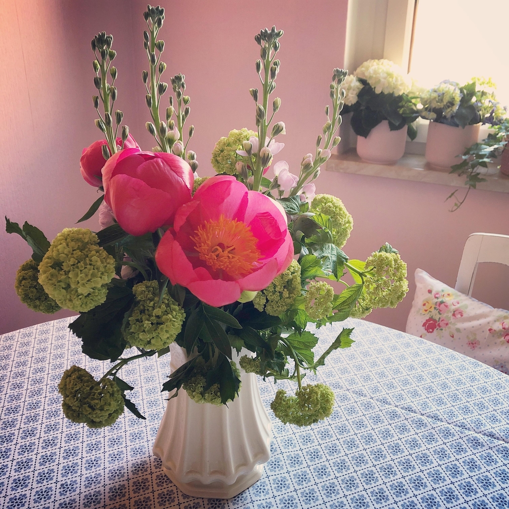 ...die Blumengeschäfte haben wieder