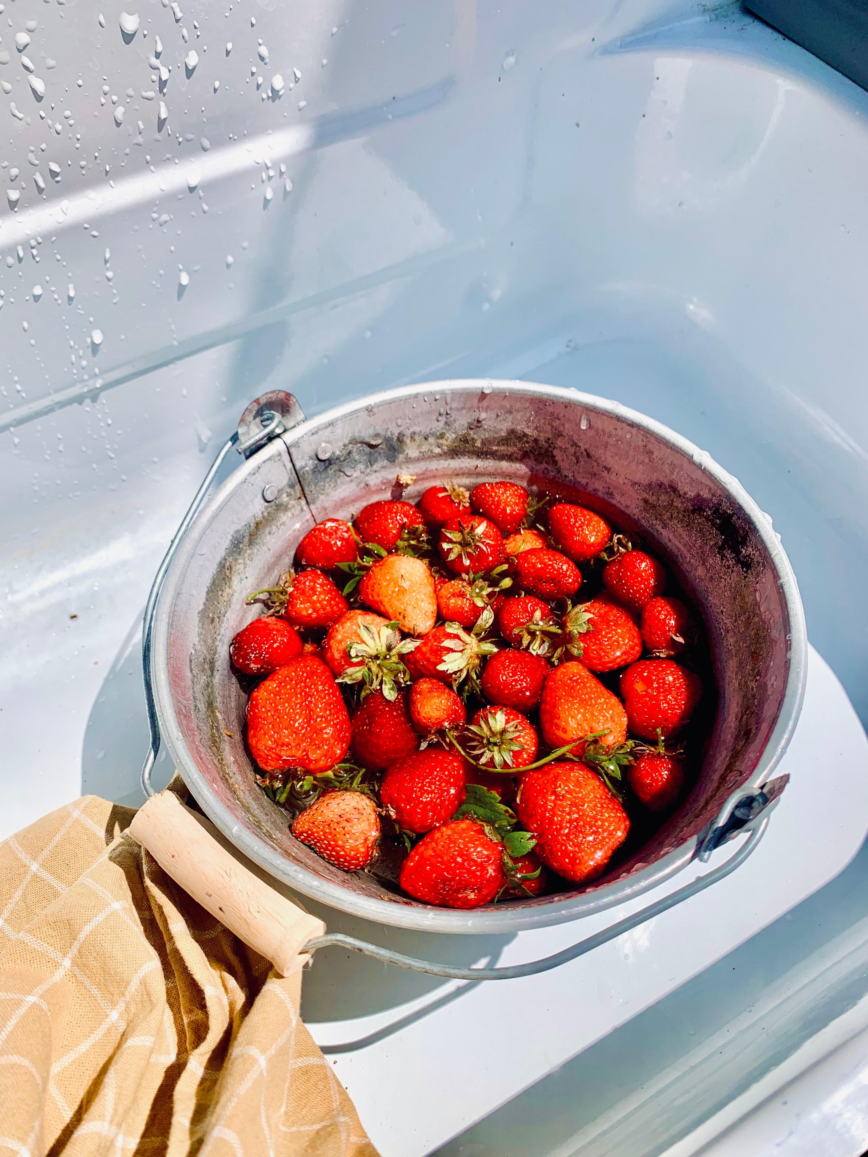 Die Erdbeer Saison im Garten
🍓🍓
#erdbeere #garten #selbstversorger #outdoor #fresh #food #frucht #eimer 