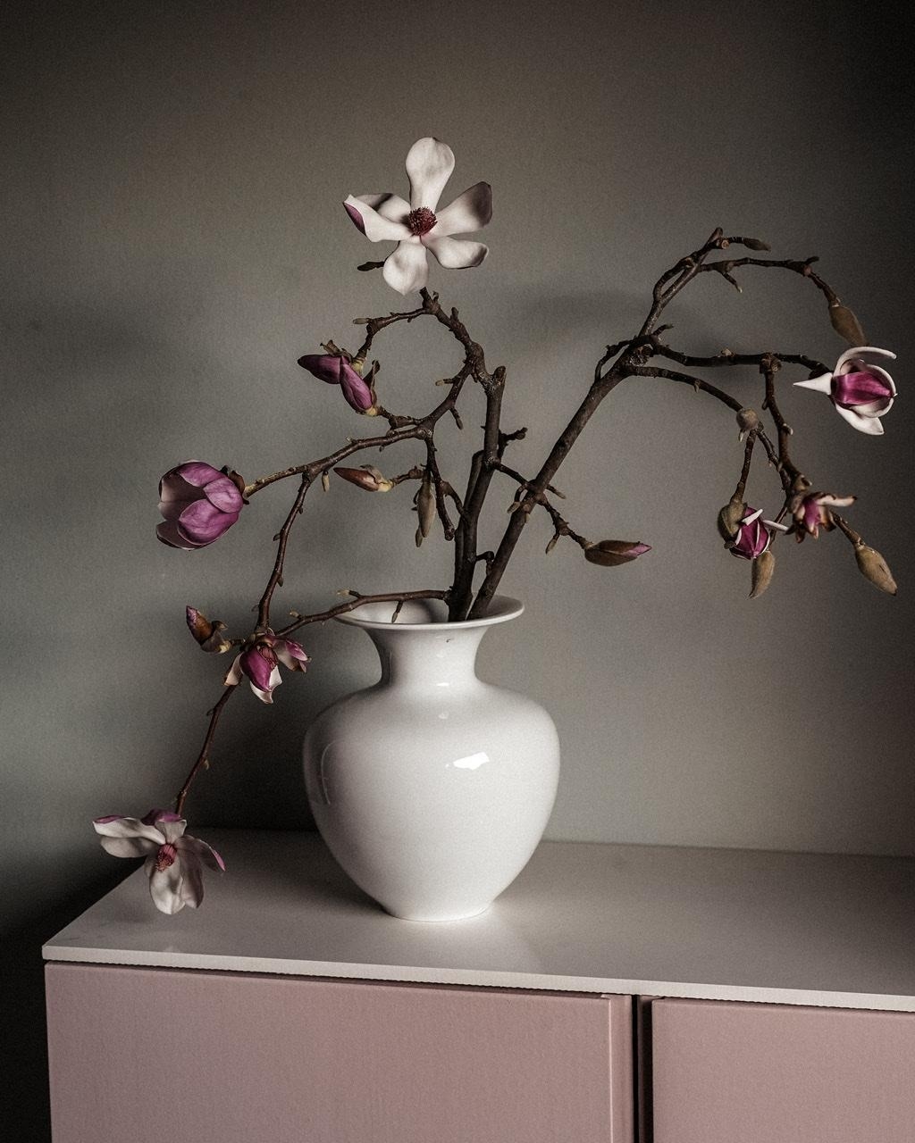 Die ersten Magnolien #magnolie