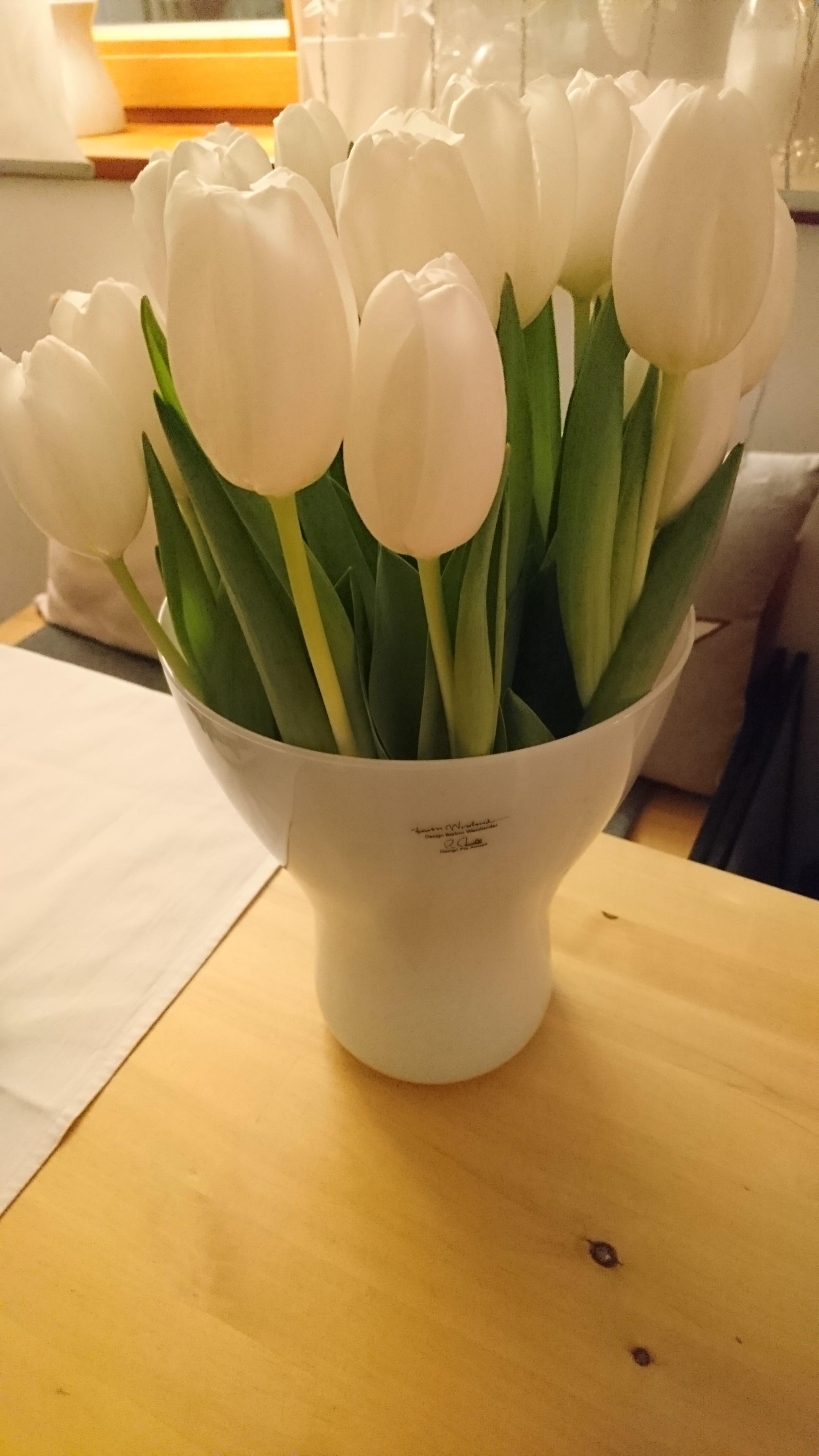 Die ersten #Tulpen im Neuen Jahr. Ganz in Weiß - passend zur Schneepracht draußen 🌨️

#freshflowerbirthday