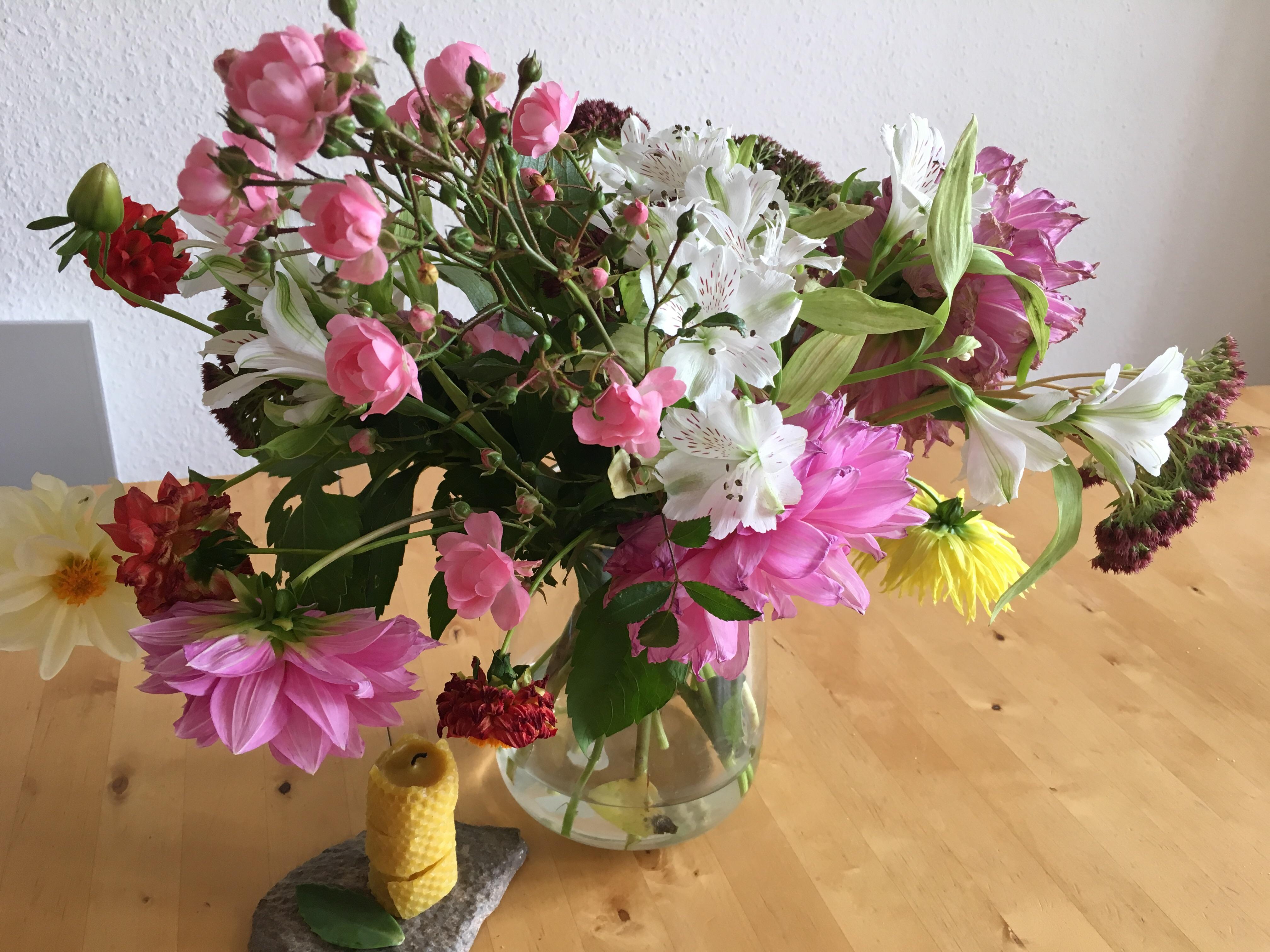  Die letzten Garten-Blumen des Jahres  #blumen