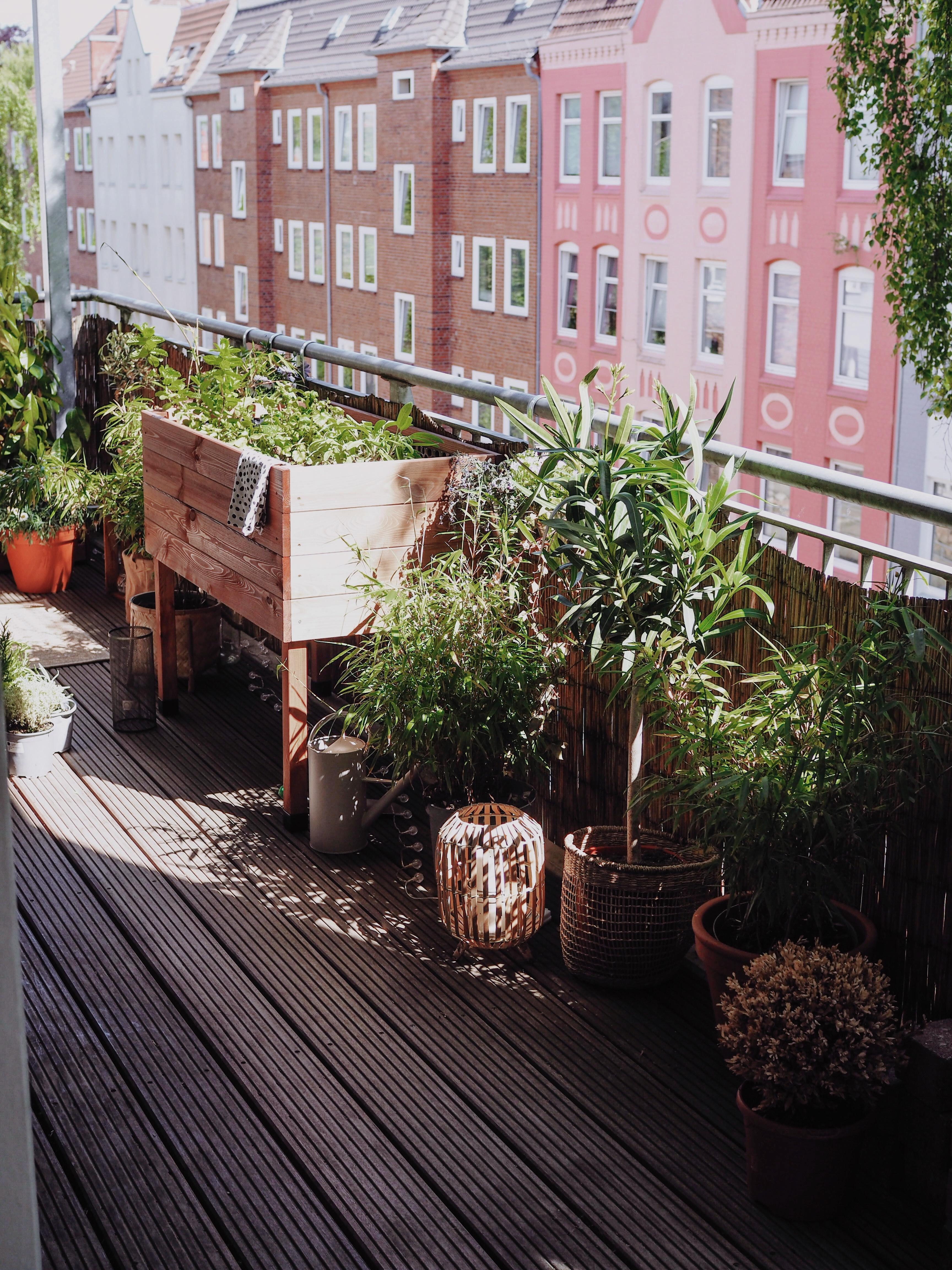 Die letzten Sonnenstrahlen so gut wie’s geht genießen 🌞 #balkon #couchstyle #balkonideen #outdoor #pflanzen #hochbeet