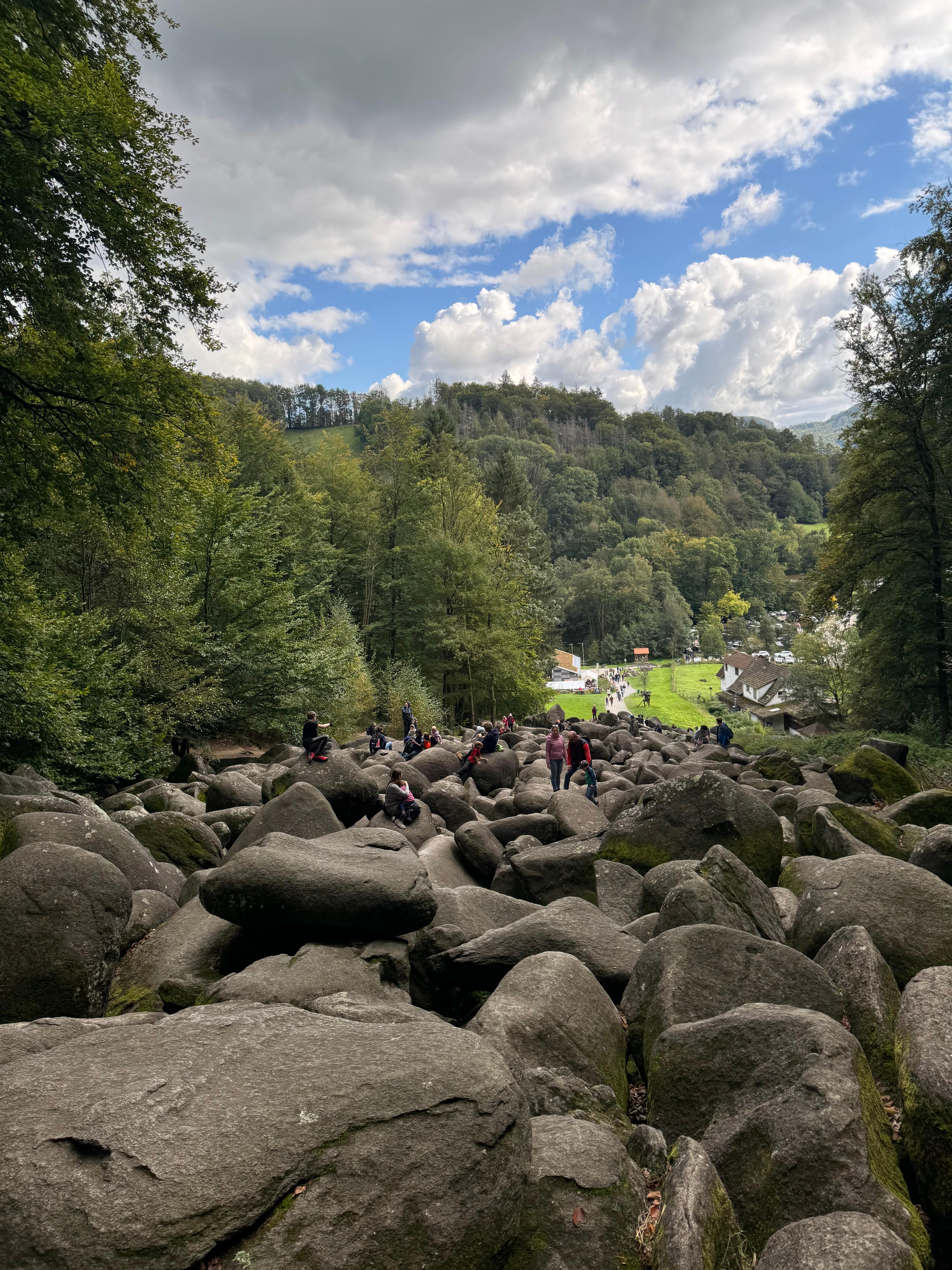 Die Natur ist so schön und der Herbst ladet uns alle ein, den Wald zu besuchen. 