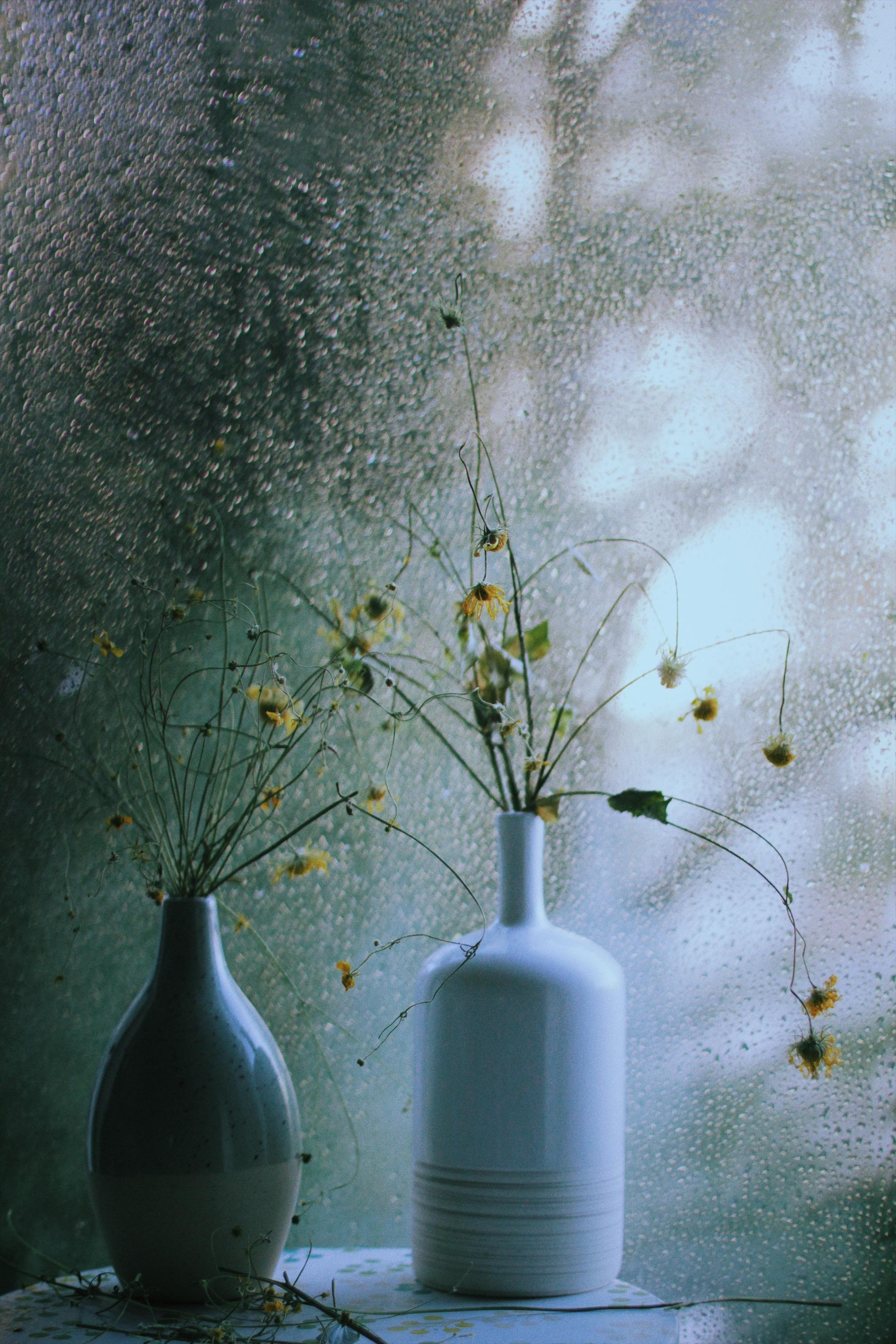 Die neuen Vasen #lieblingstück#scandi#deko#couchliebt#regen#driedflower#blumen#licht#farbe