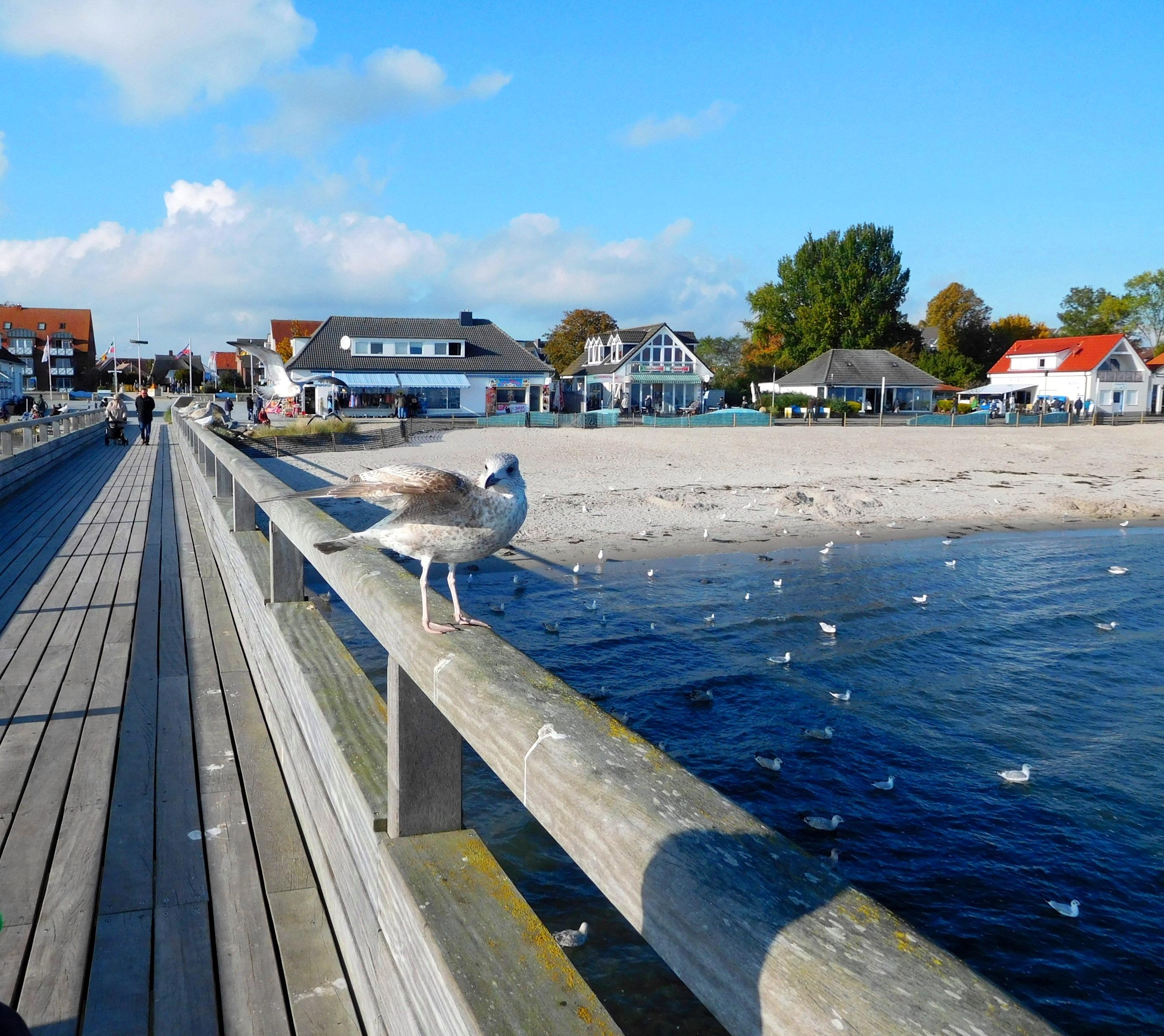 Die Oktobersonne genießen!