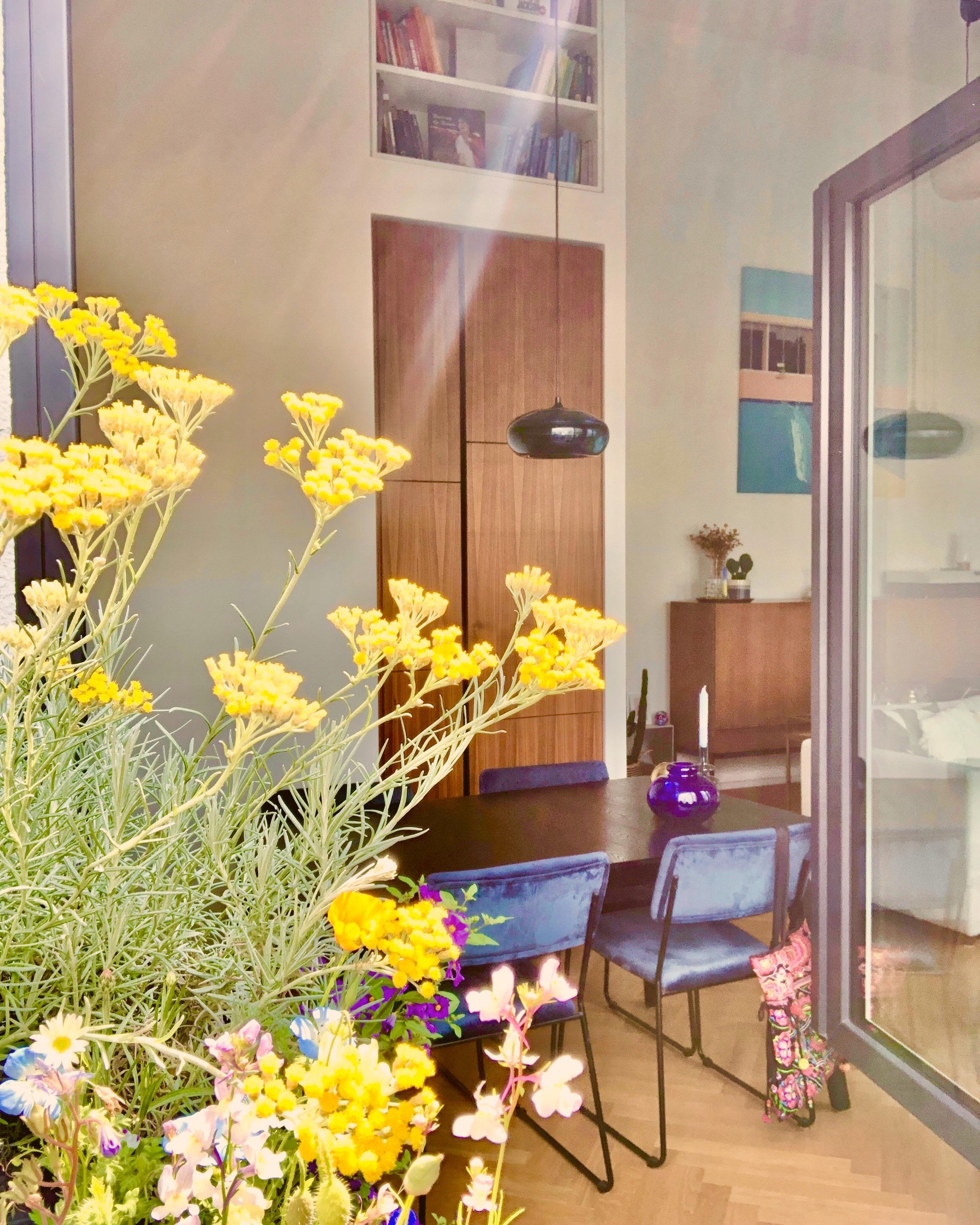 Die Perspektive einer #Balkonblume 😄 #esszimmer #küche #wohnzimmer #stauraum