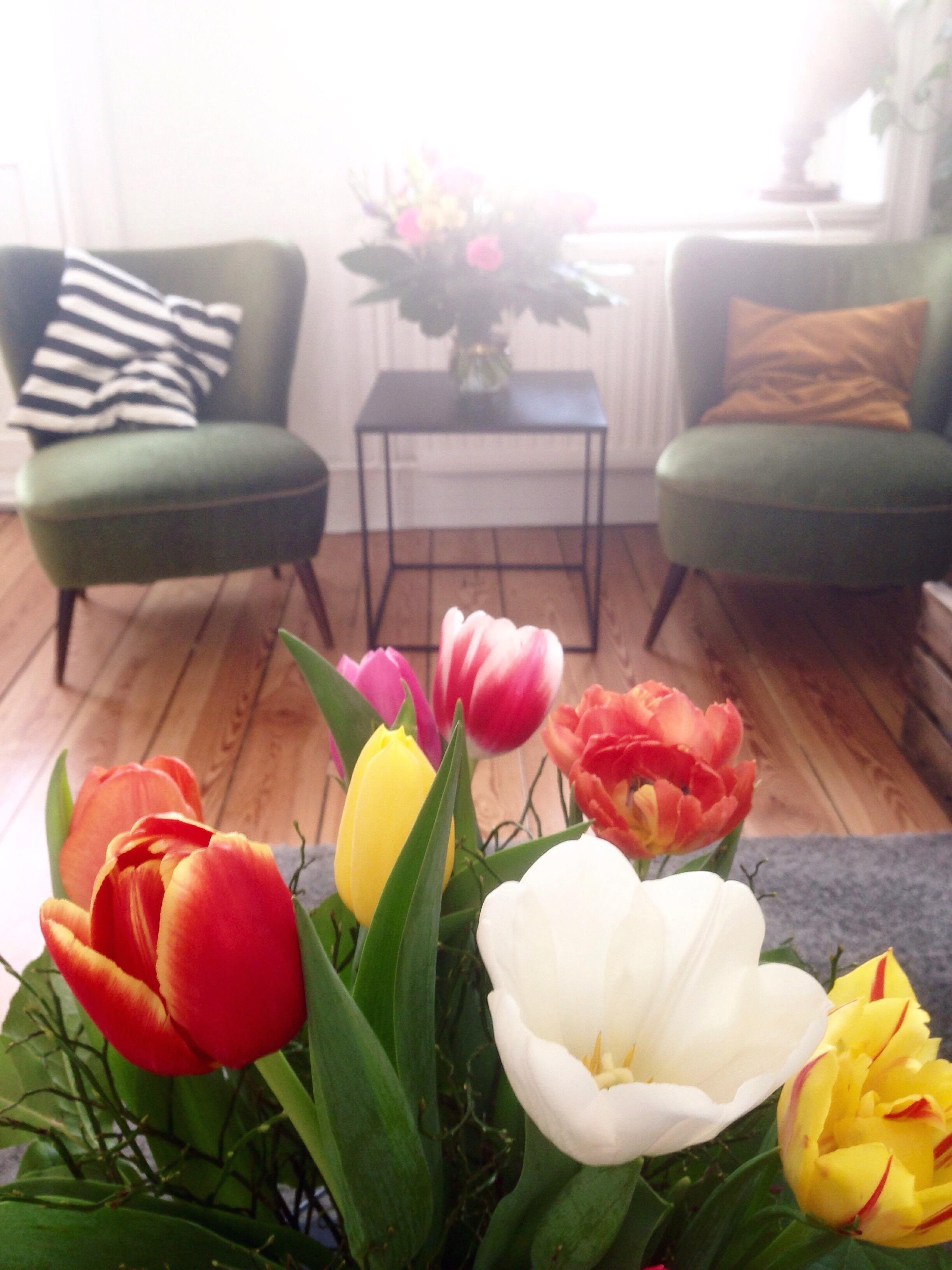 Die schönsten #frühlingsvorboten sind #blumen !
#Tulpen im #vintage #altbau #wohnzimmer