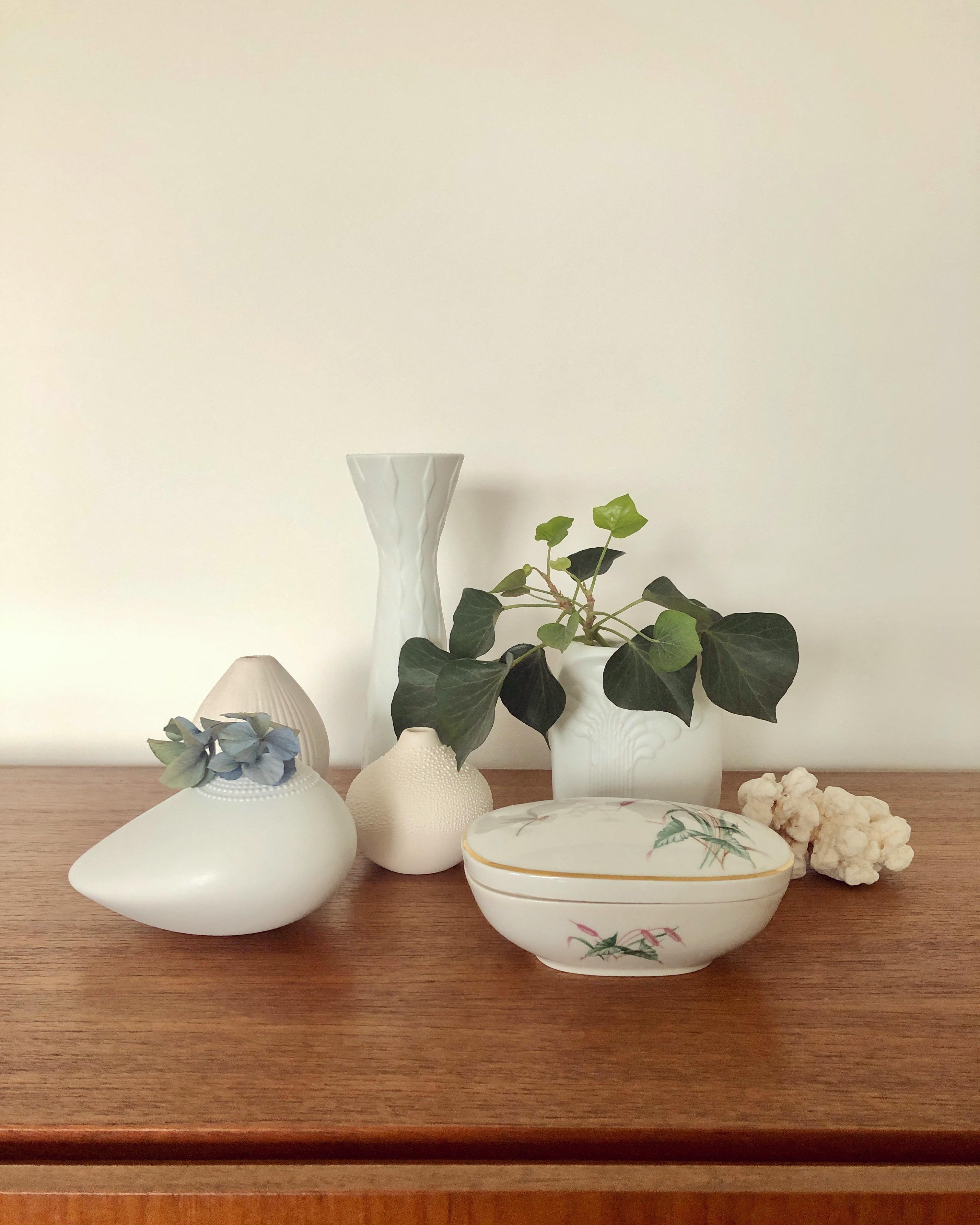 Diese beiden Efeuzweige sind vom März und immer noch da 😍 #Vasenliebe #Vasen #Vintage