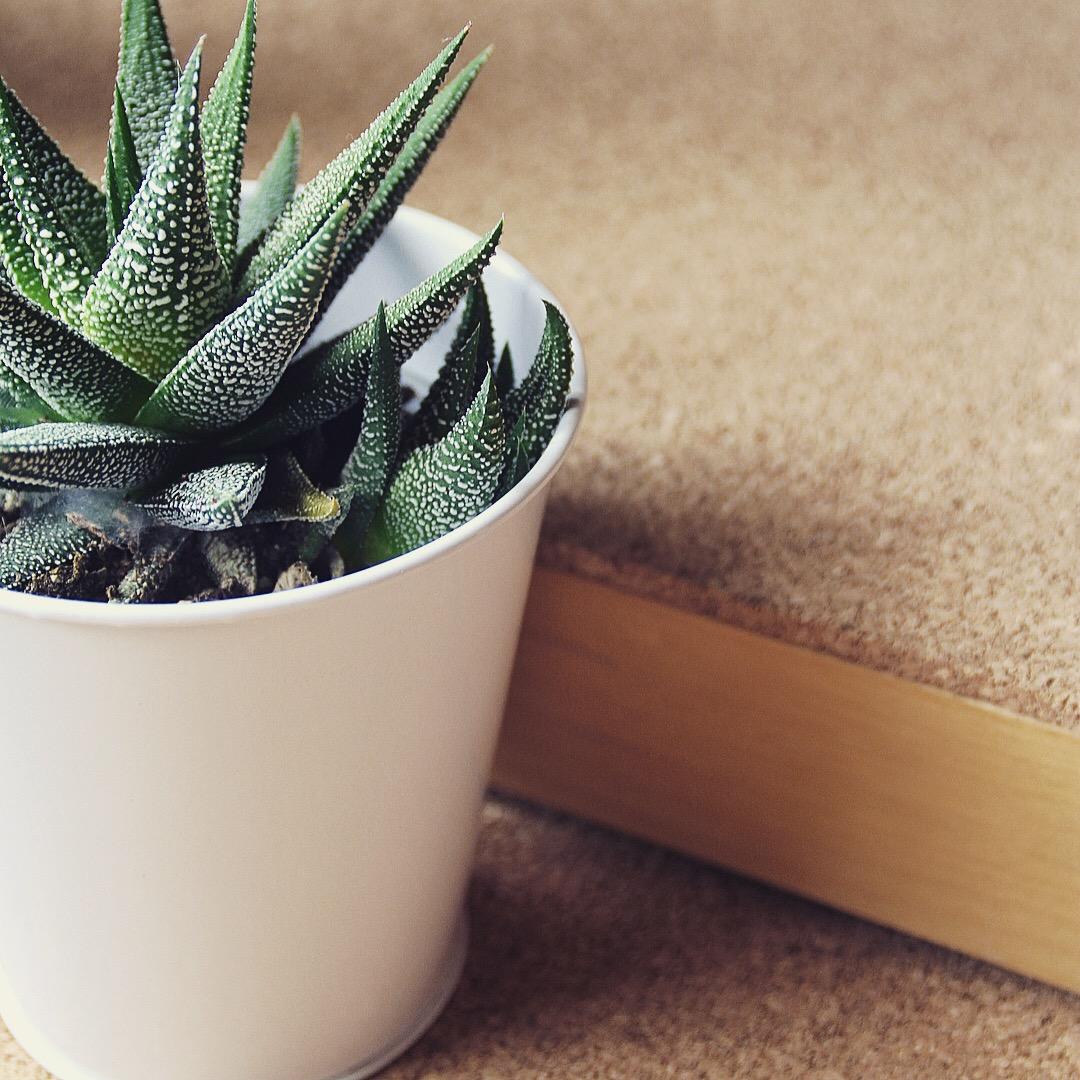 DIY Schreibtisch natürlich aufpimpen mit Kork #living #skandistyle #natur #minimalistisch #kaktusliebe #succulent #kork